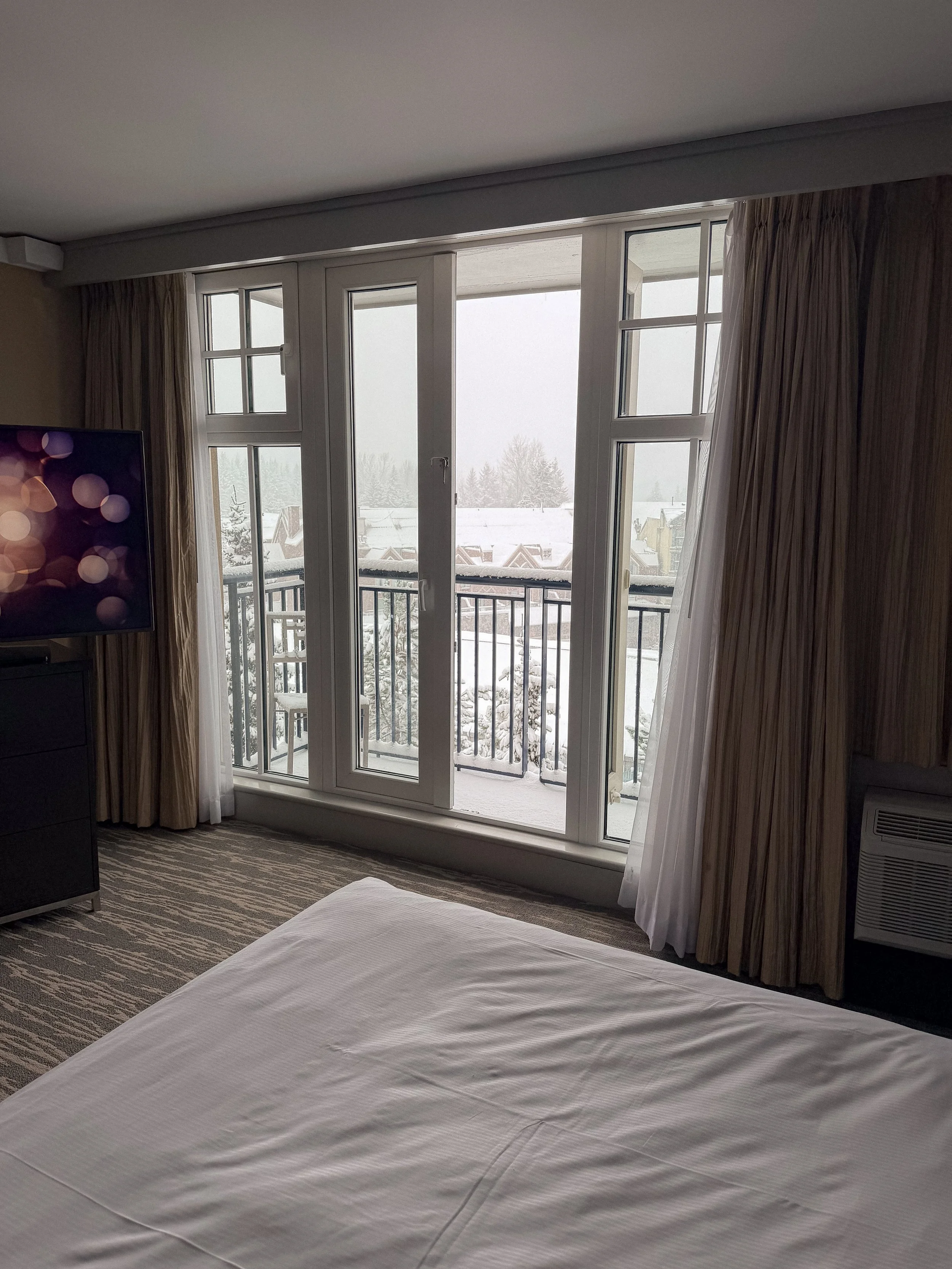 Quiet Room With Snow View.jpg