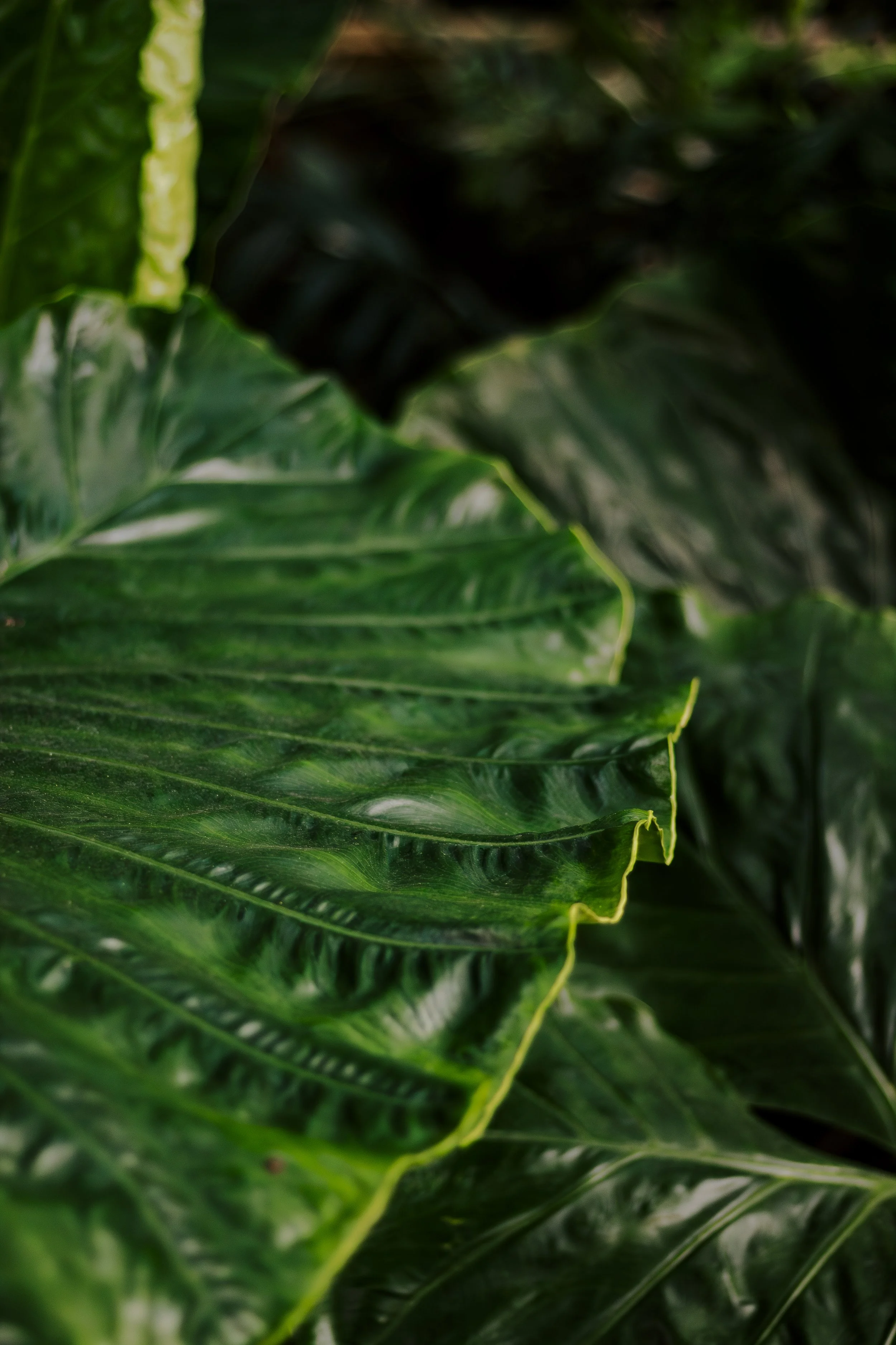 Conrad Bangkok-32.jpg