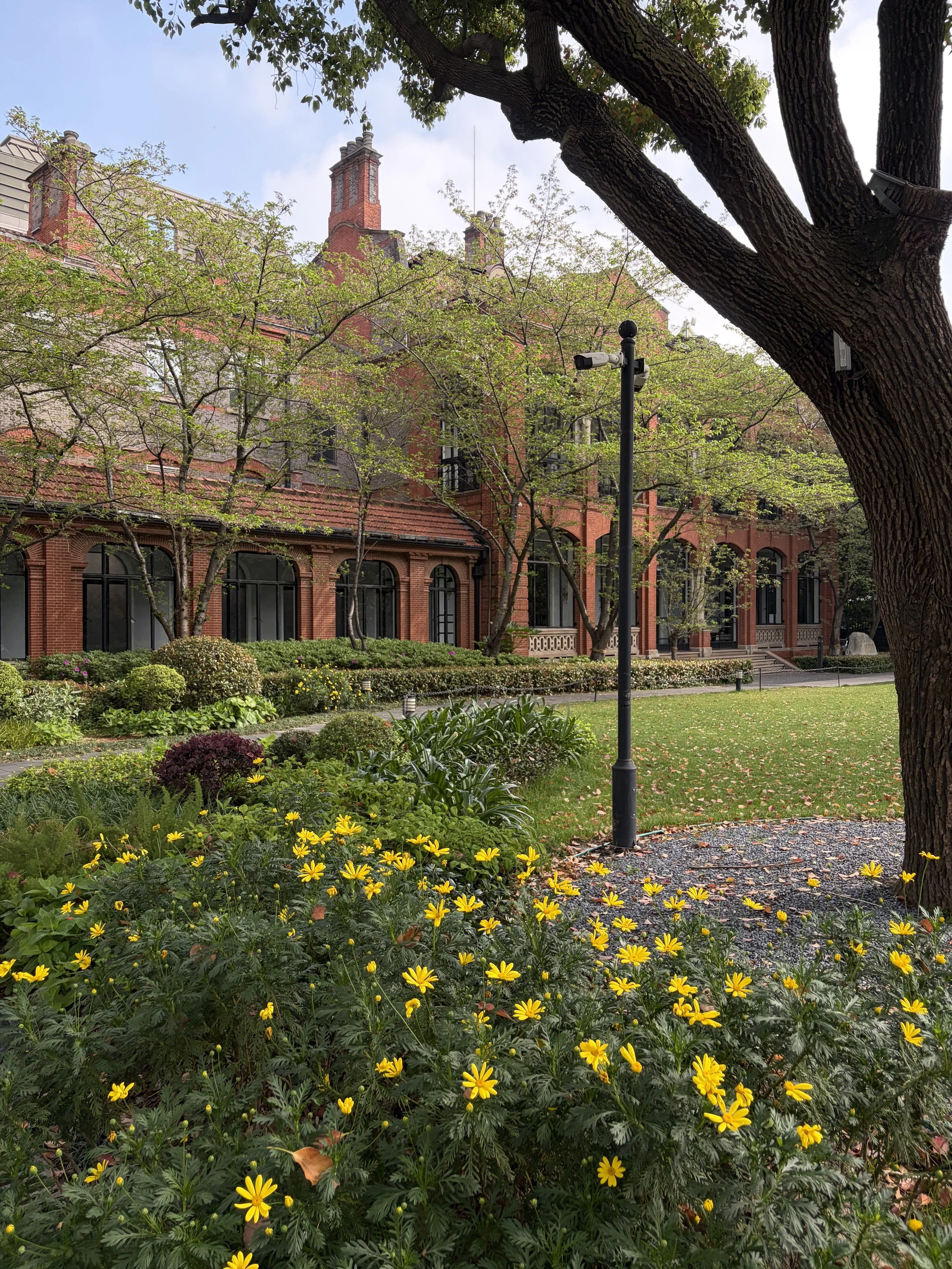 A Hidden Sanctuary in the Heart of Shanghai: InterContinental Ruijin