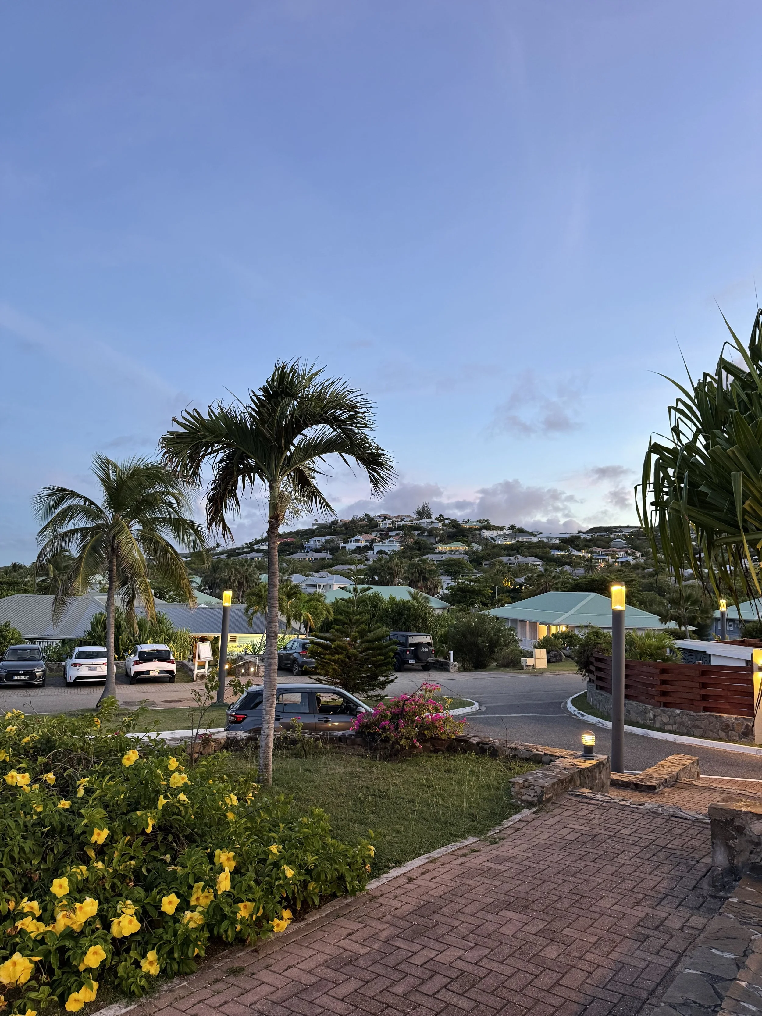 image00029.jpeg