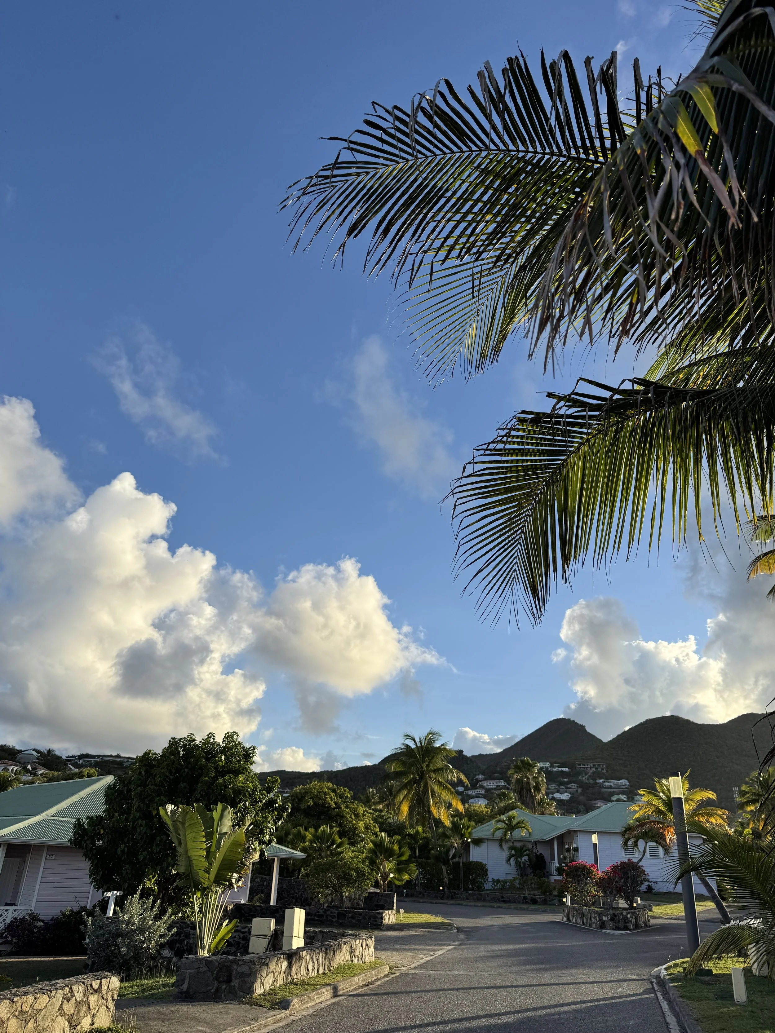 image00032.jpeg