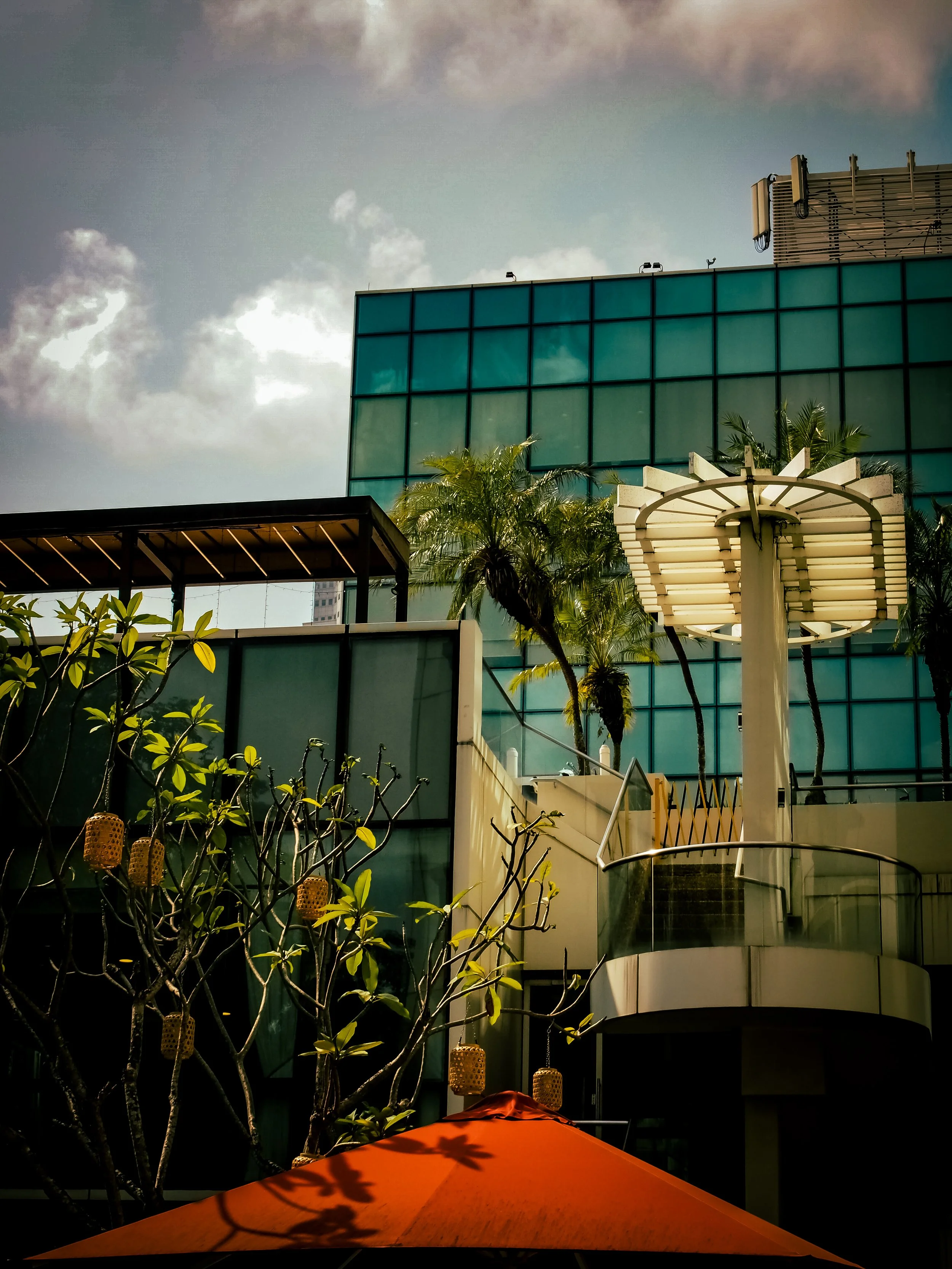 P1013324.jpg