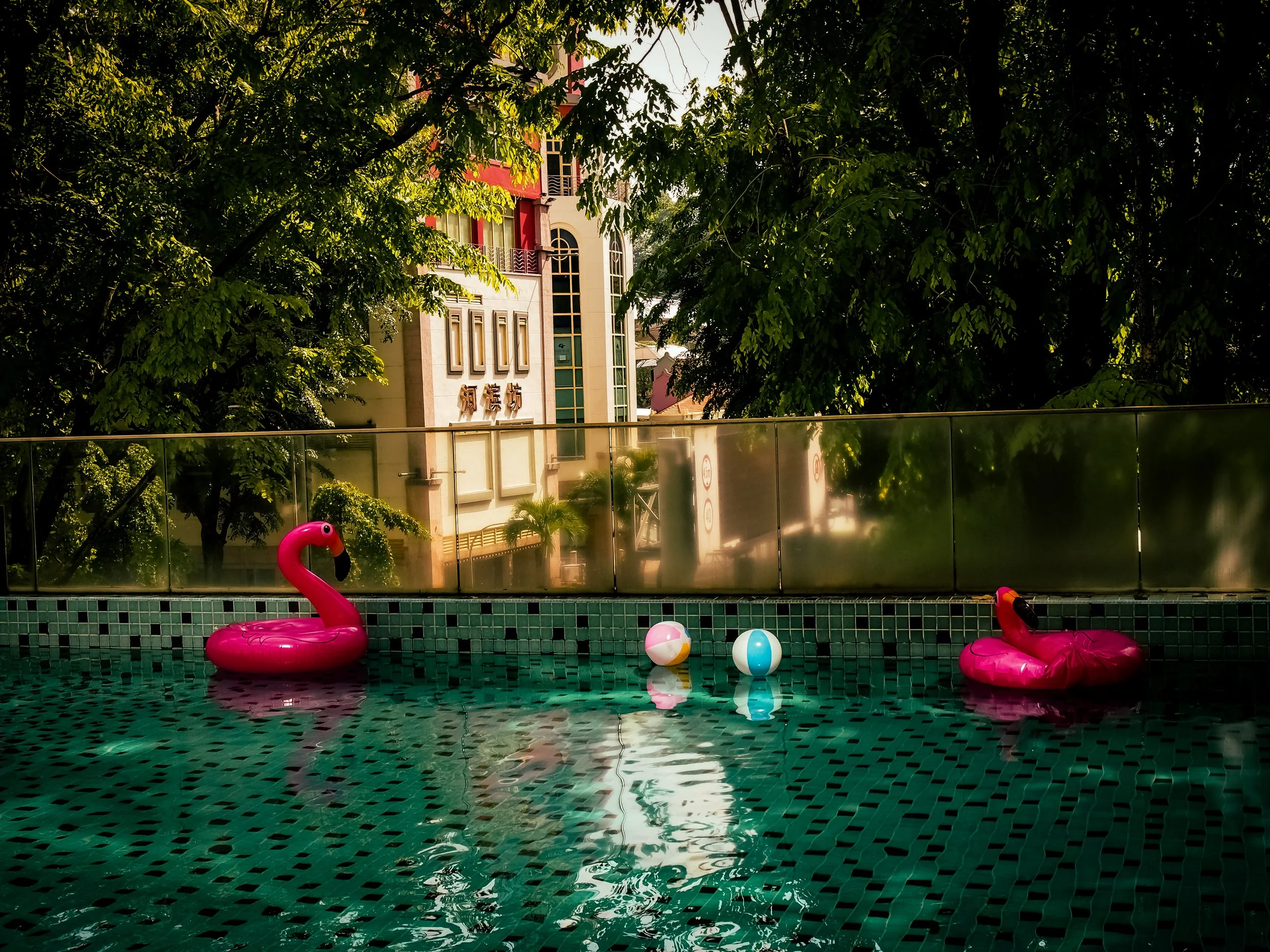 P1013318.JPG