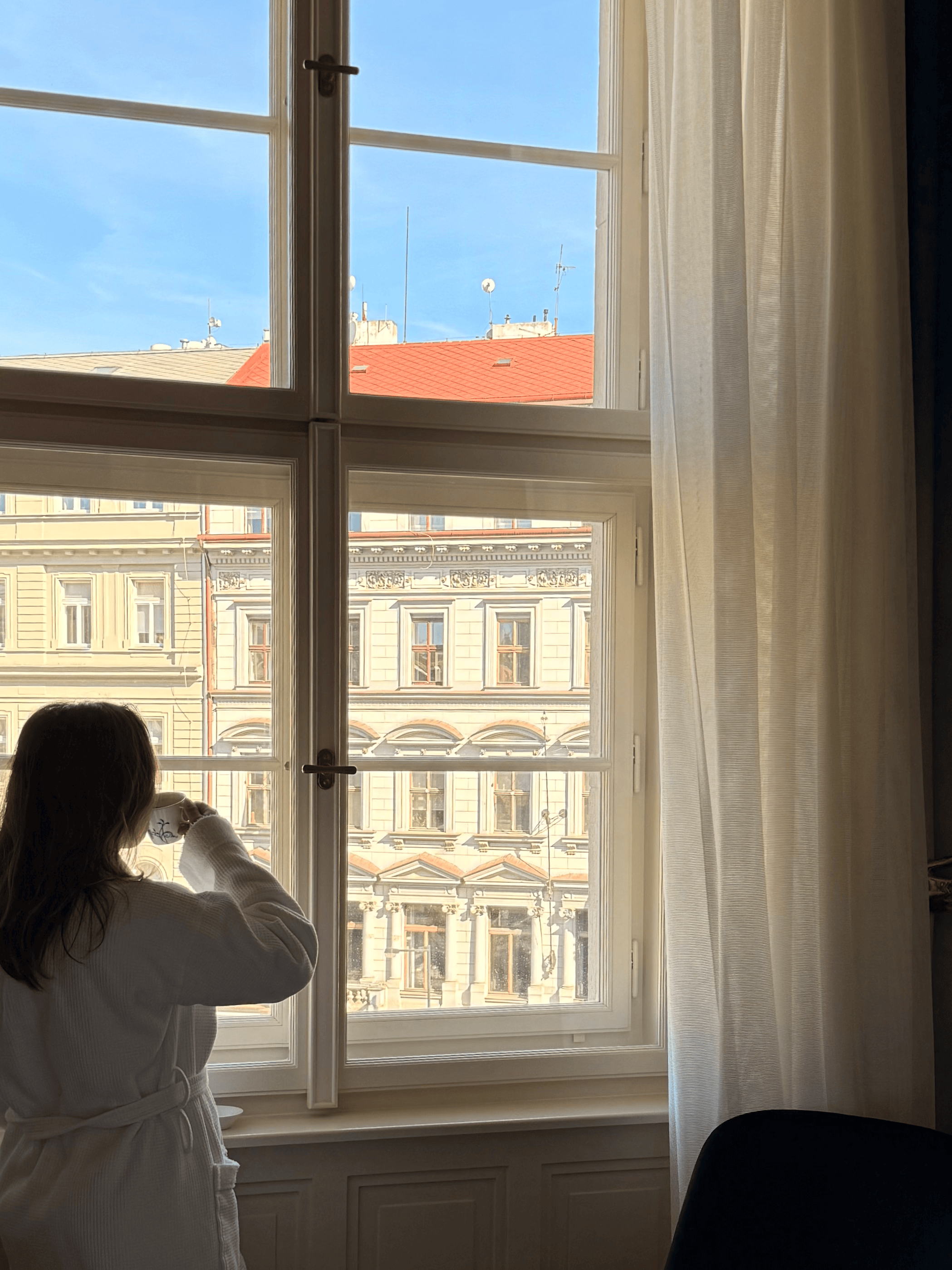 Interior Window View.png