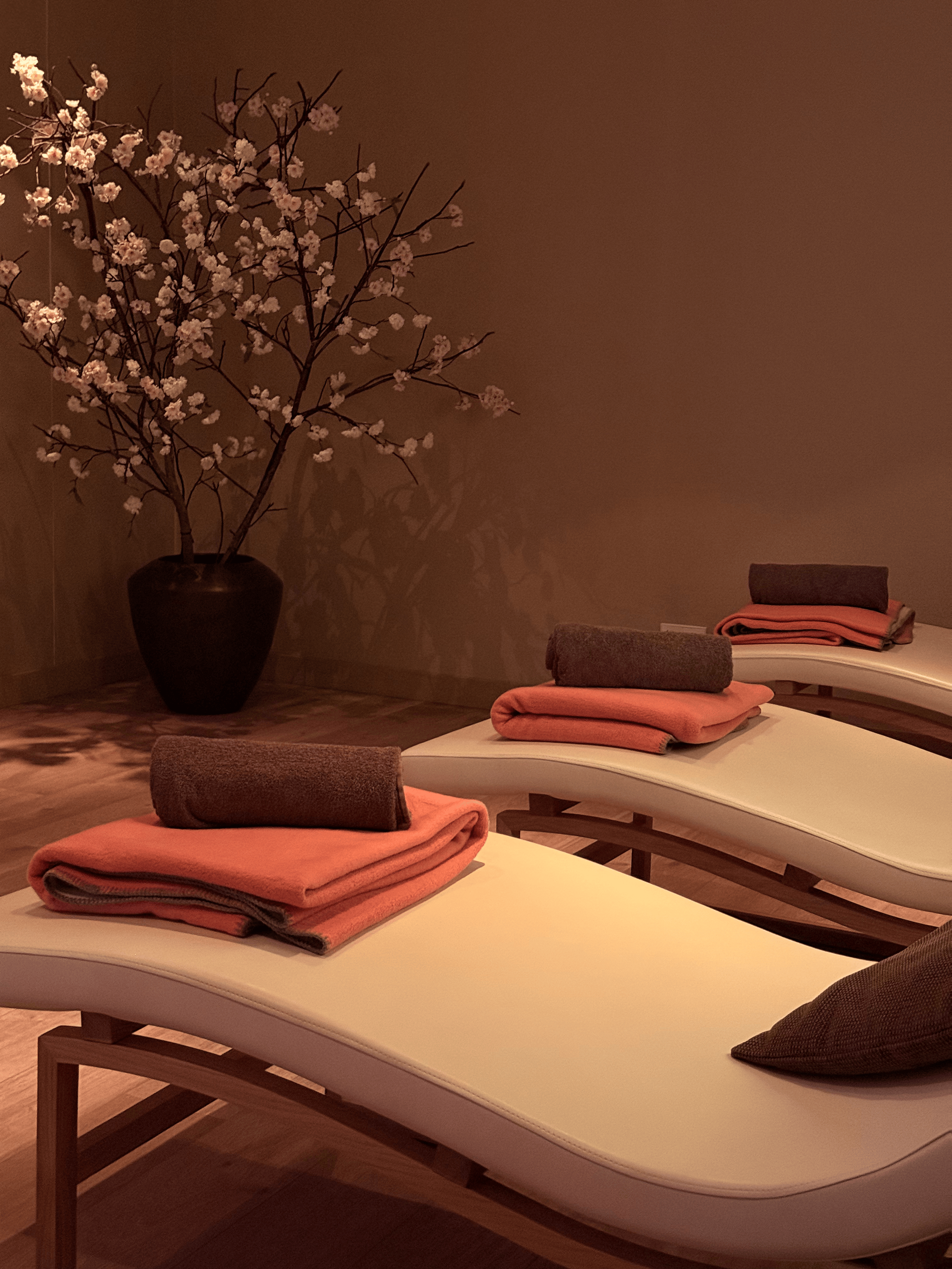 Spa2.png