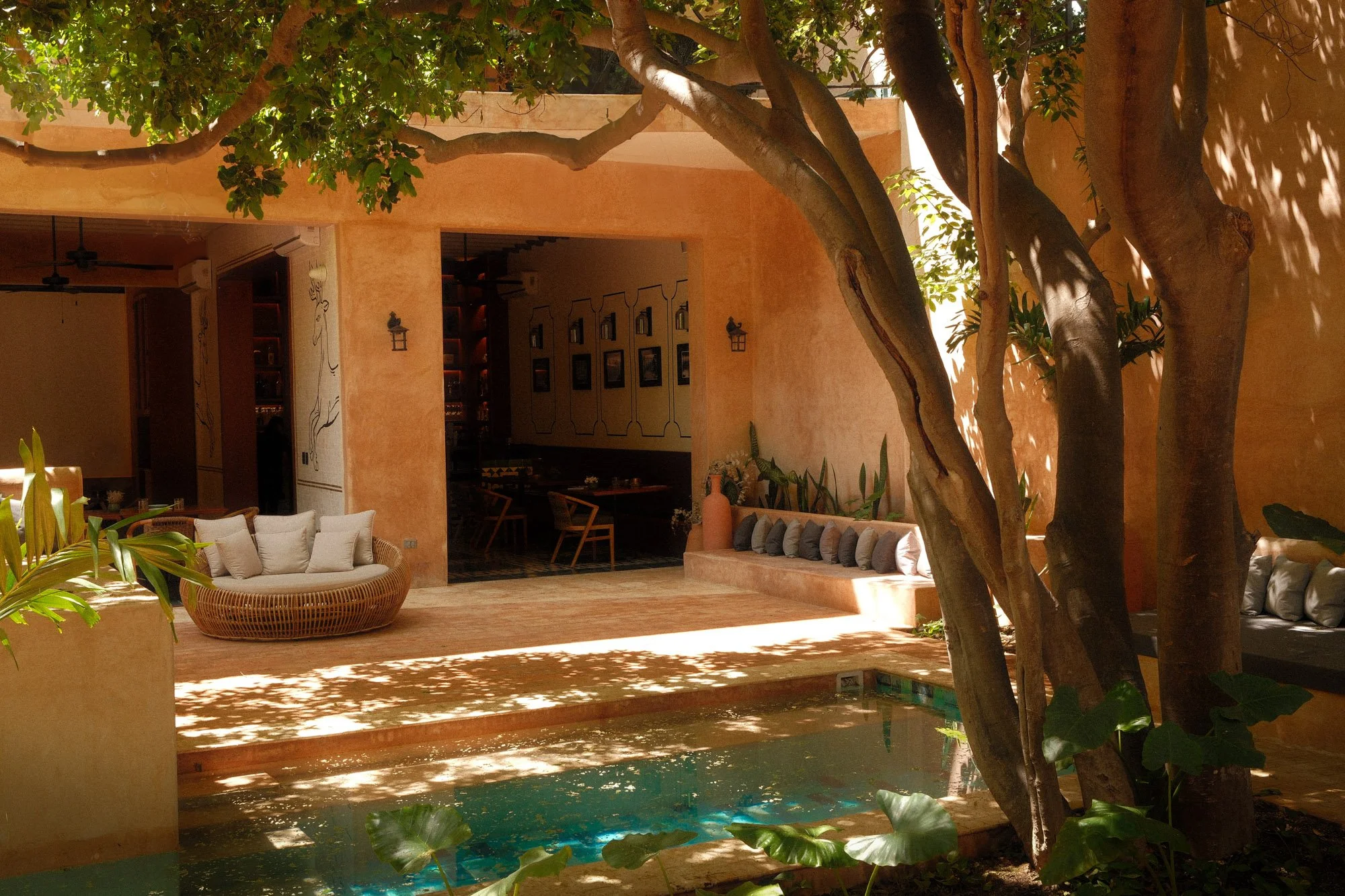 Cigno Mejorada: A Restored 19th-Century Mansion Oasis in the Heart of Mérida