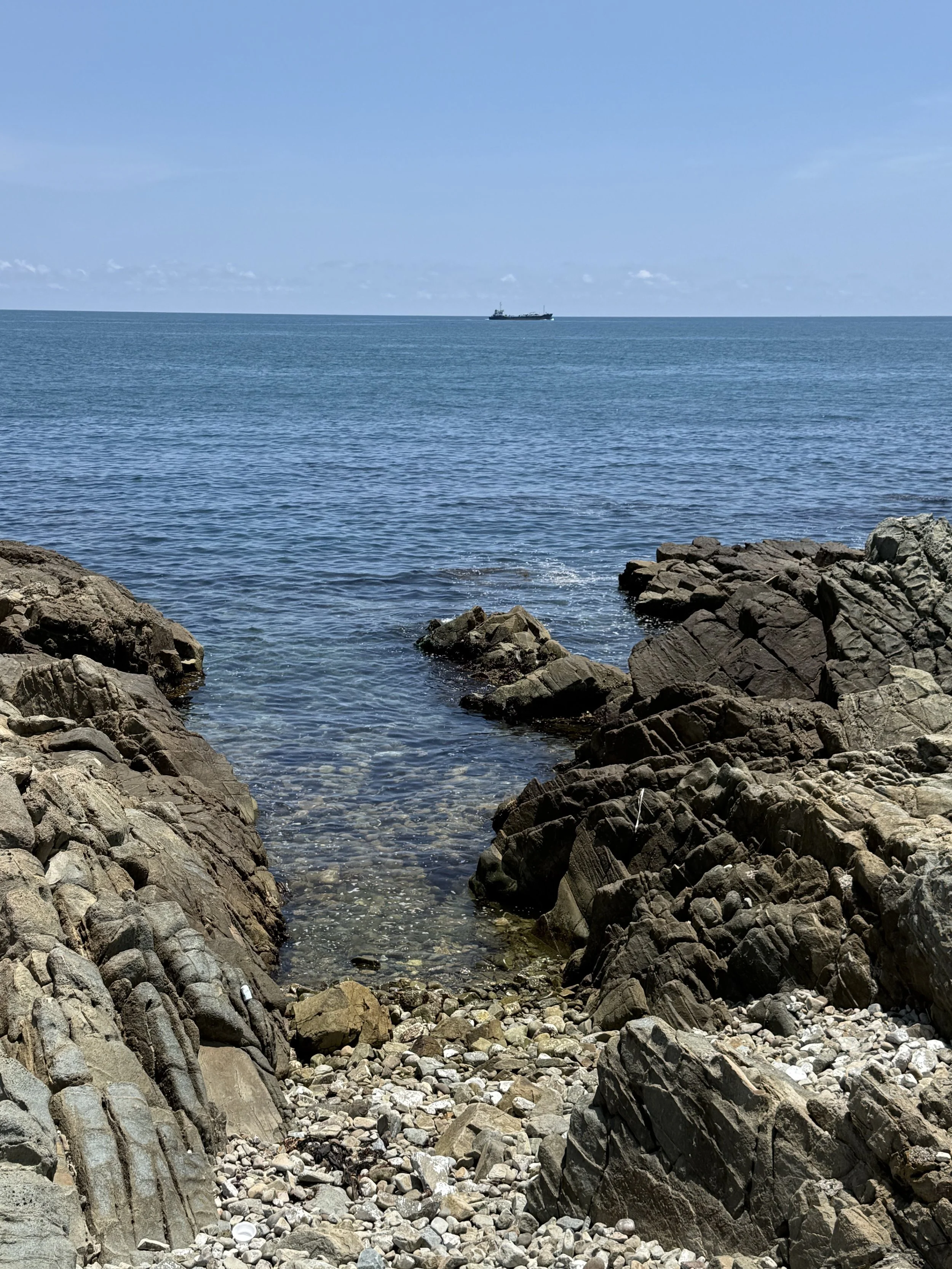 IMG_6440.jpg