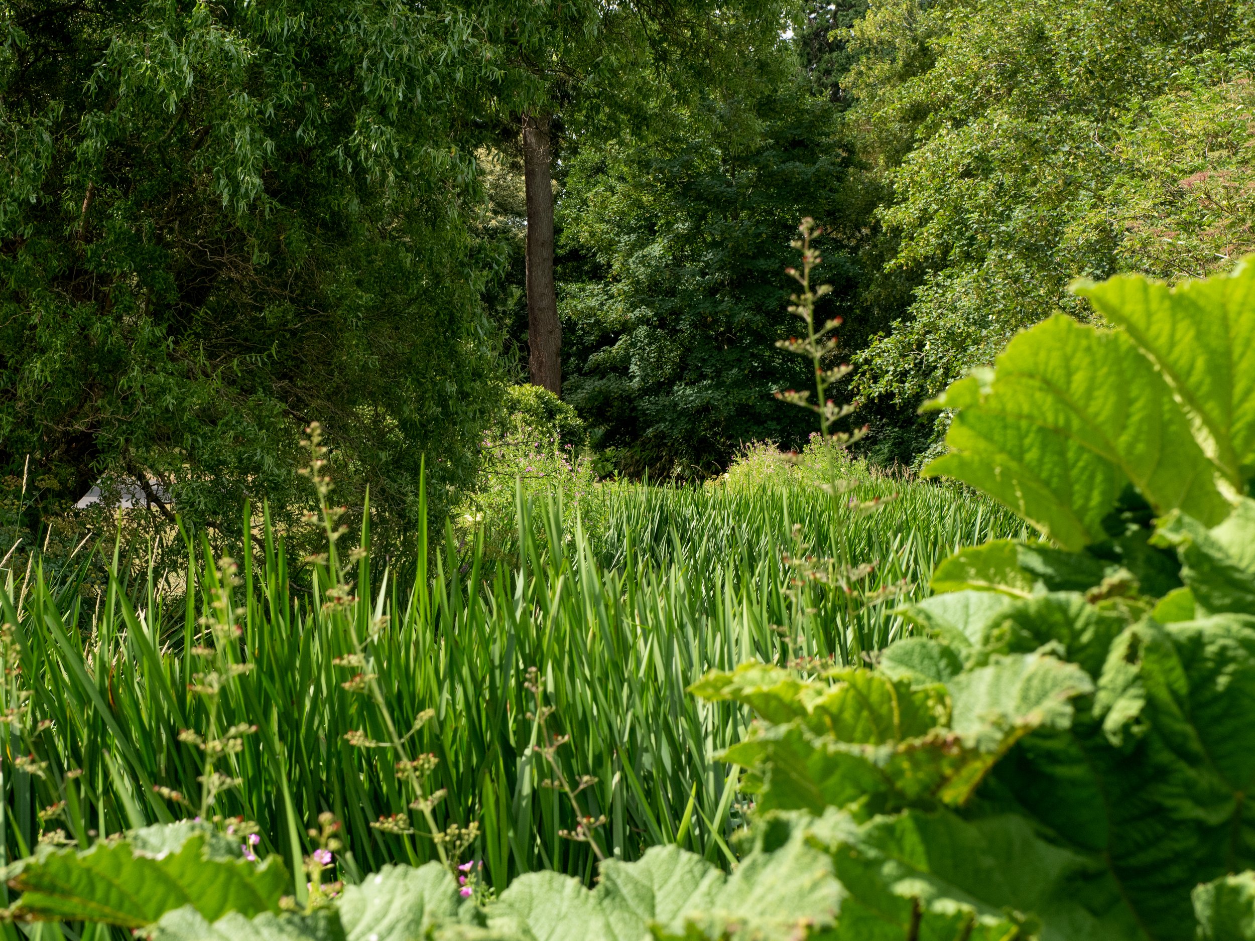 The_Elvetham_Edited_Images-49.jpg