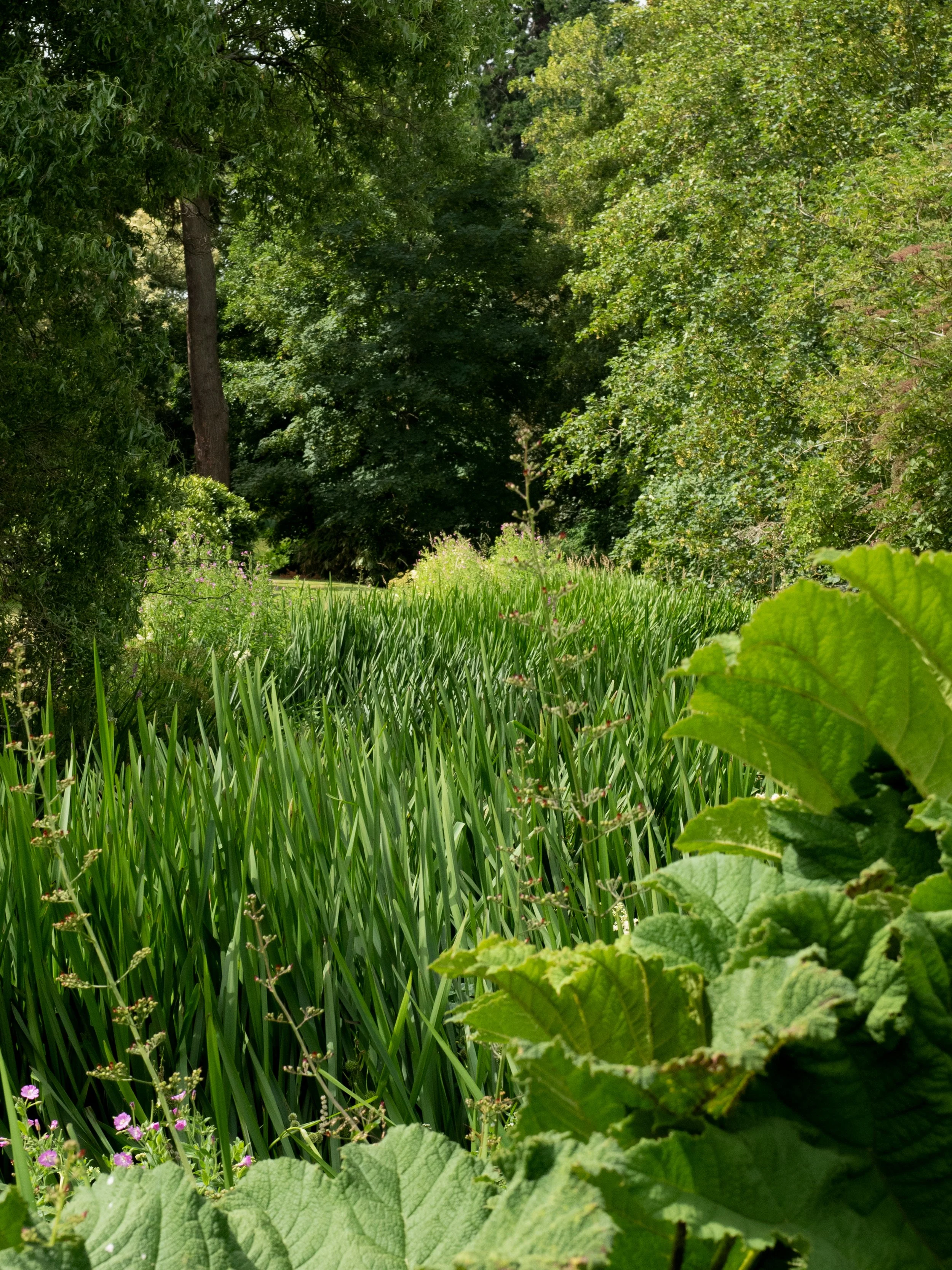The_Elvetham_Edited_Images-50.jpg