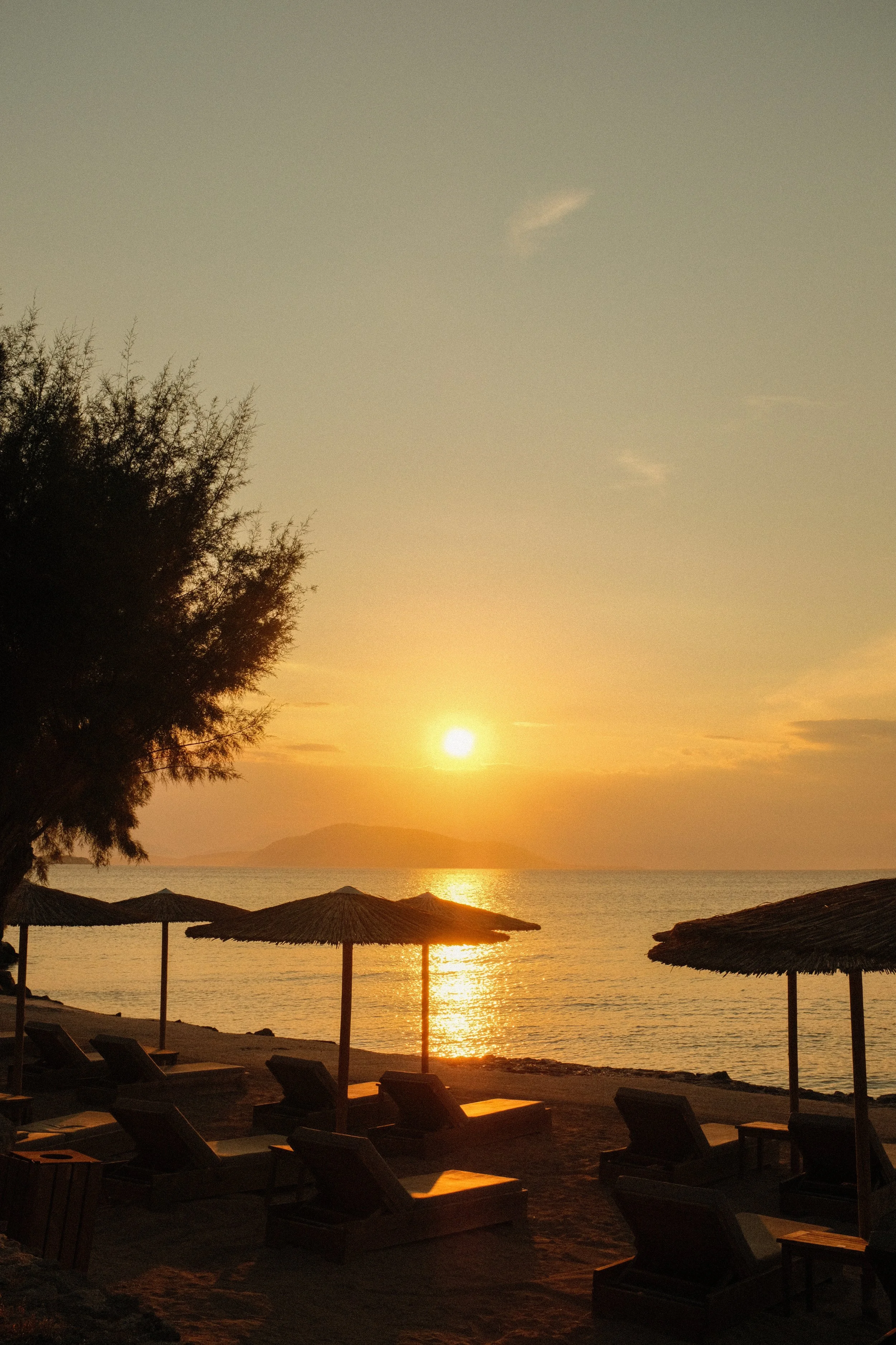 DSCF1527.jpg