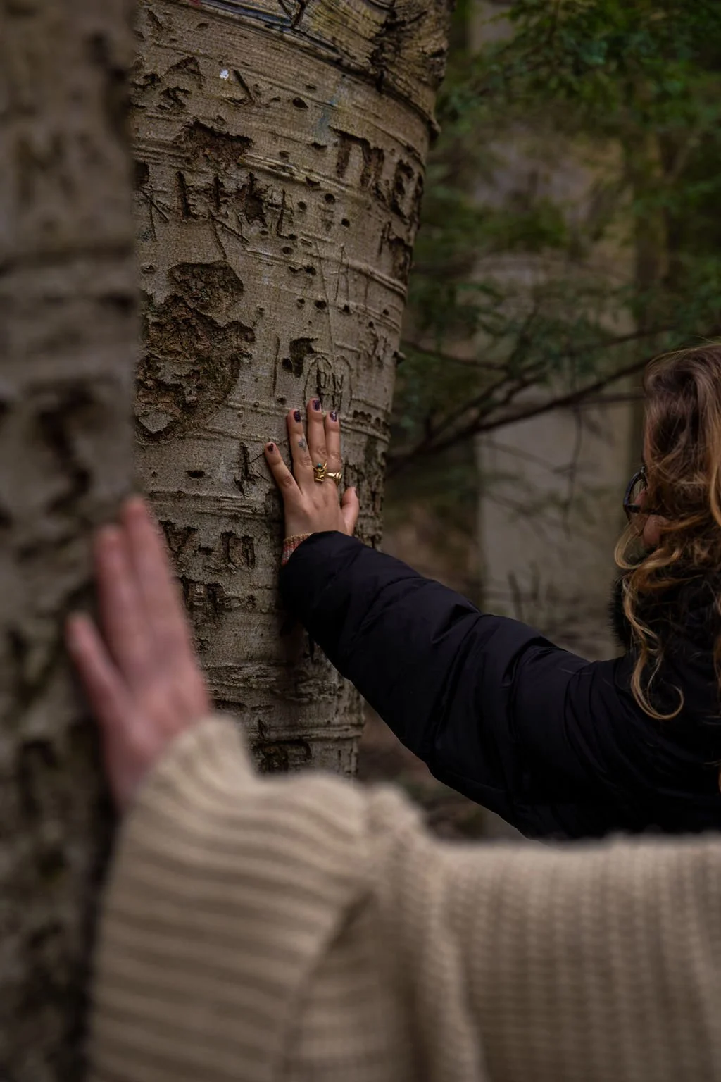receiving the medicine of the trees