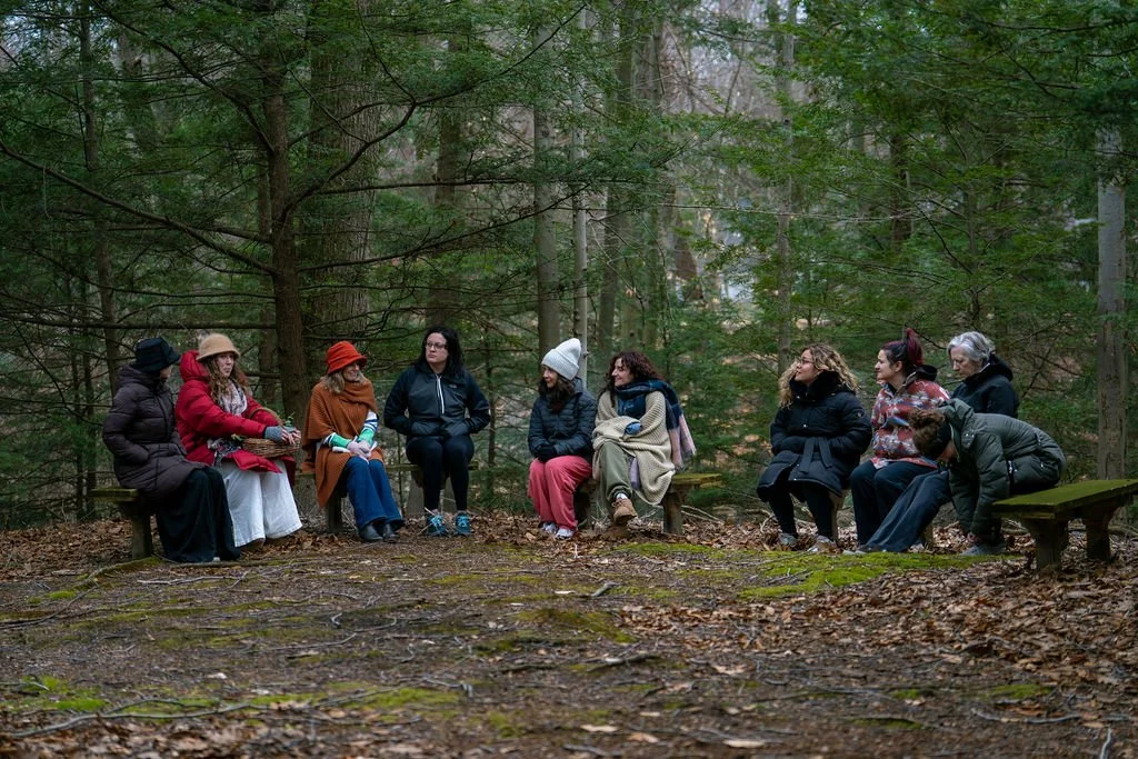 closing circle in the woods