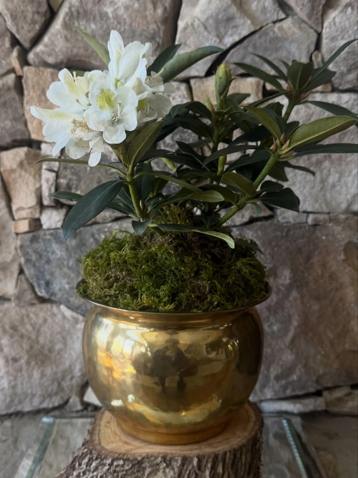 For my Uncle Ted. 

⚓️ 🚤 

Ted Tipton Obituary

Ted Tipton was called home to be with his Savior Jesus Christ on March 24, 2026. Born in Roan Mountain, Tennessee on May 22, 1933, Ted was the son of the late James Blaine Tipton and Julia Miller Tipto