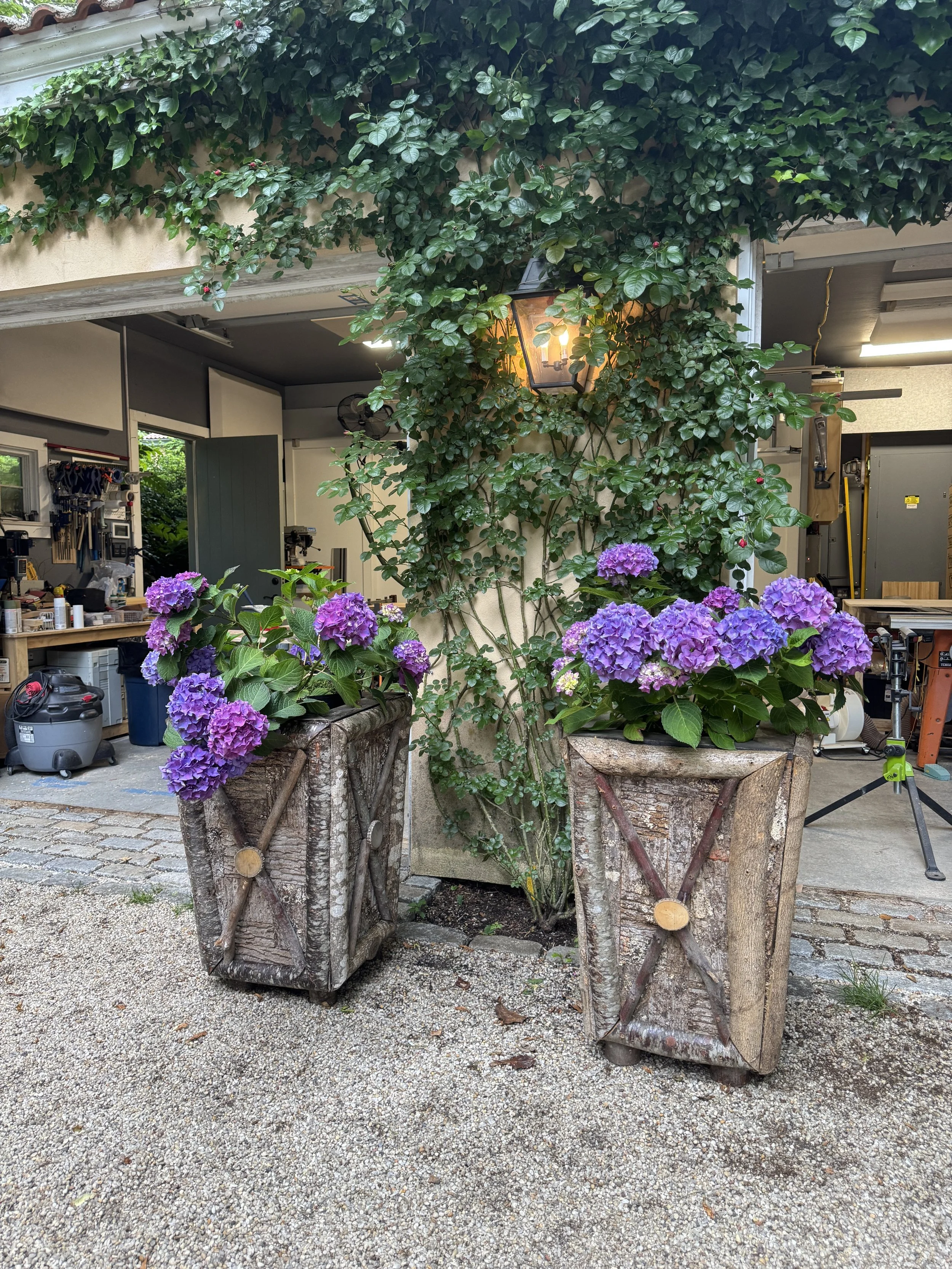 Hydrangeas in the Hamptons