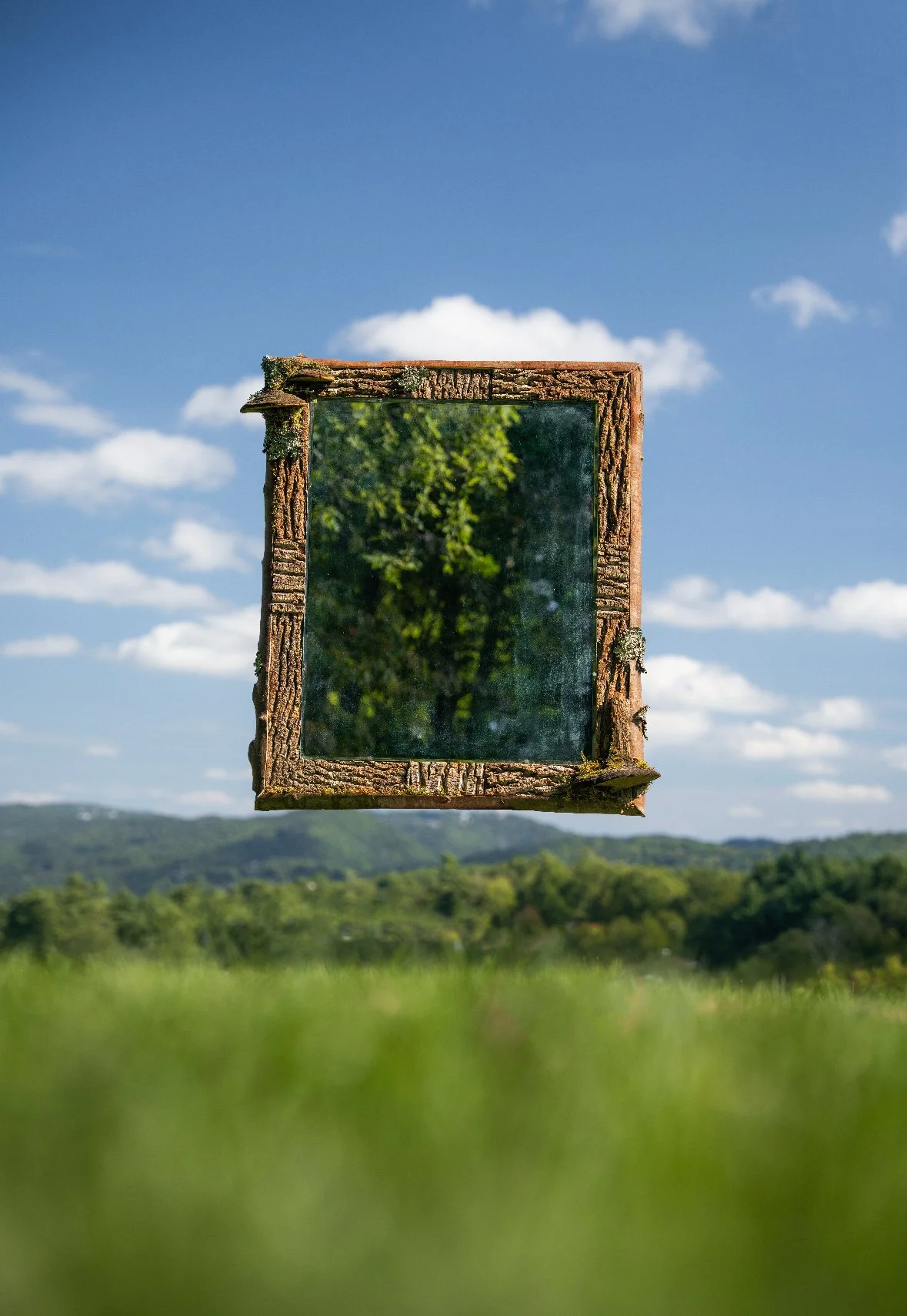 One-of-a-kind mirror with antique-green beveled glass, framed in North Carolina poplar bark, sugar maple, and rhododendron, finished with cracked-capped polypore details.
