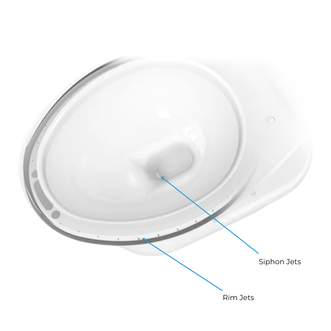 Green Neutral Simple Image Layout with Floral Element International Women's Day Instagram Post (1).png