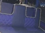 Picture5.jpg