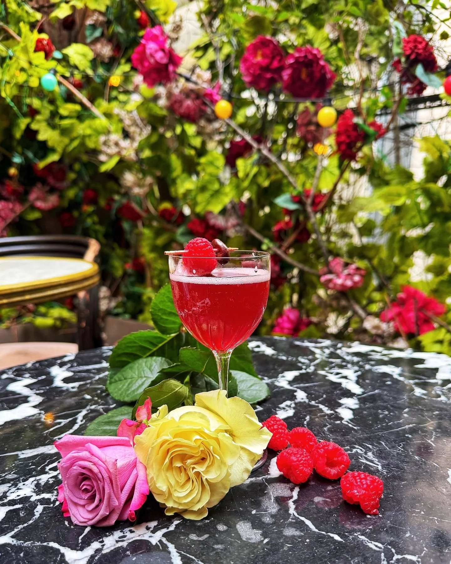 Pour passer la soir&eacute;e sur une terrasse cach&eacute;e 🌺, montez au @1905paris (au 1er &eacute;tage des @vinsdespyrenees ), vous serez entour&eacute;s de fra&icirc;cheur 💦 et en ce moment, c'est pr&eacute;cieux.
Vous pouvez y boire des cocktai