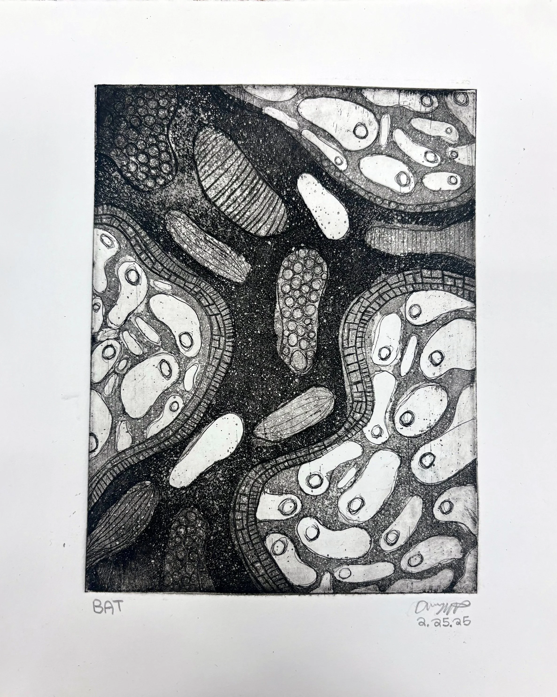 Etching Print with Copper Plate (1/1)