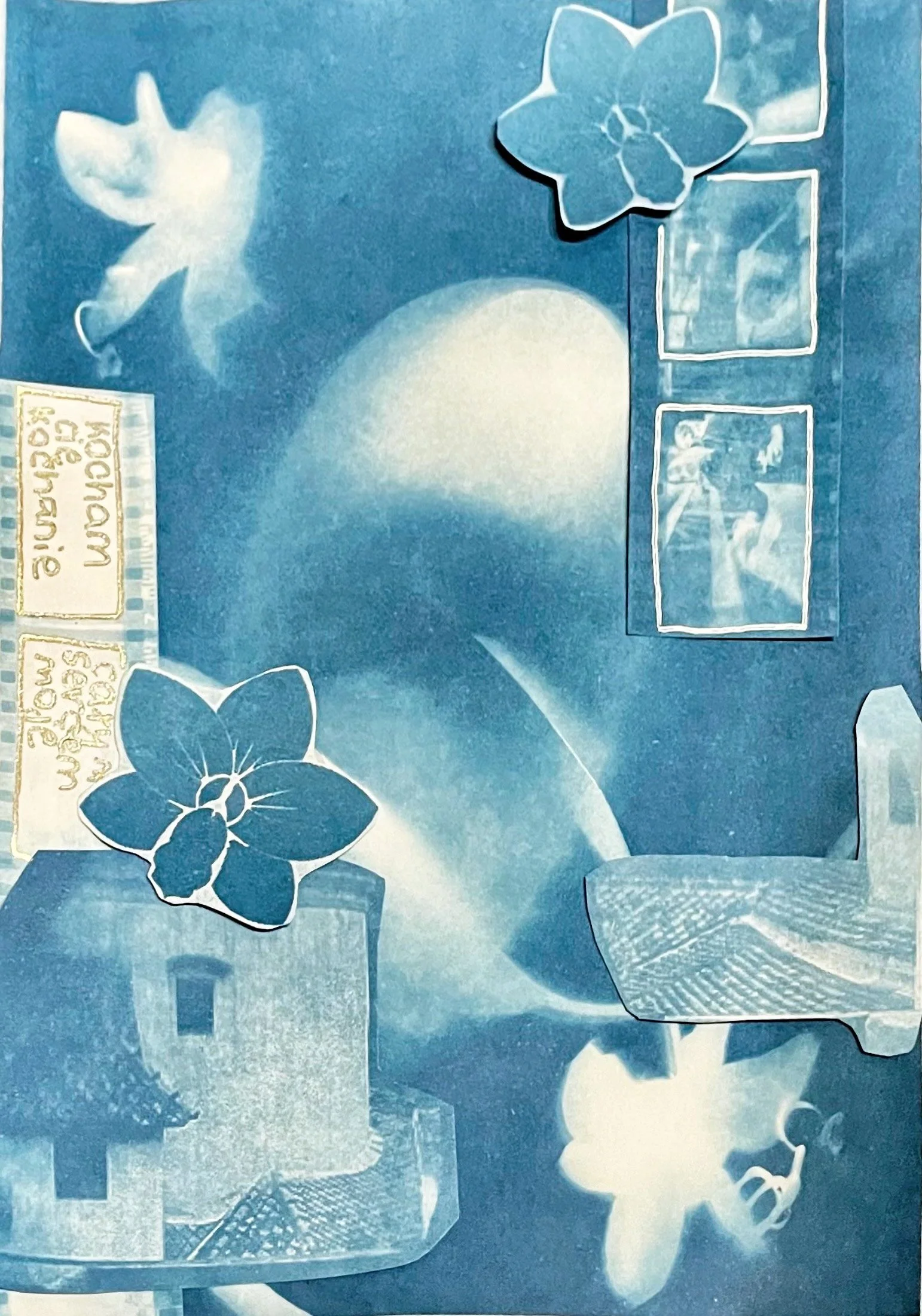 Identity Cyanotype Collage (4/4)
