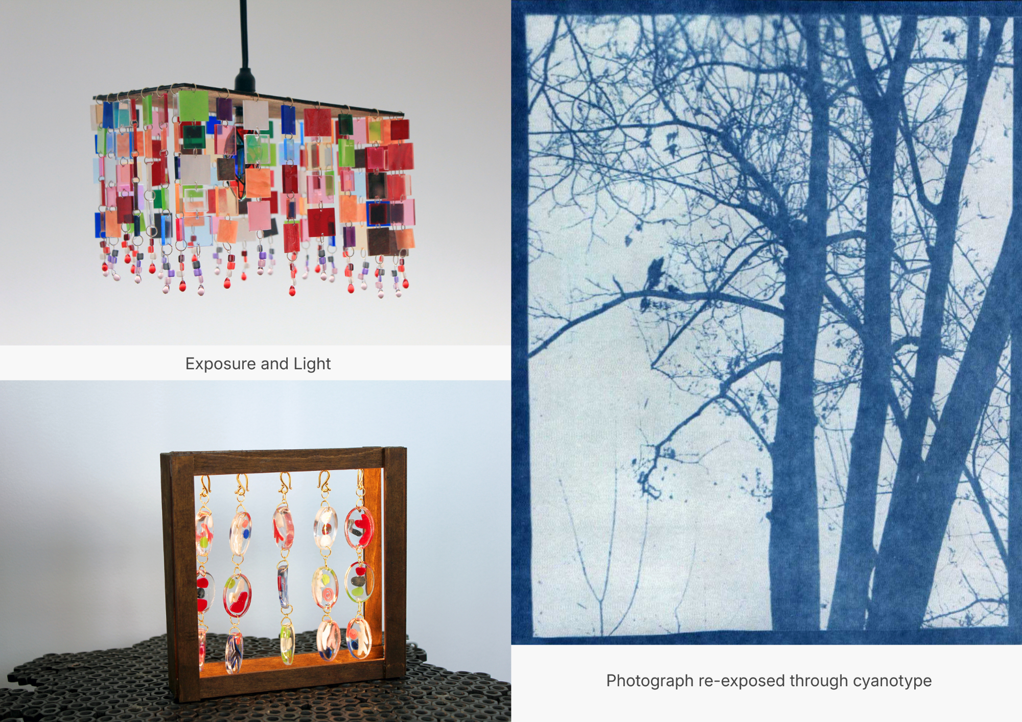 A visual archive zine of the collection combining cyanotype, printmaking, film photography, and product imagery across two themes: Organica and Exposure.