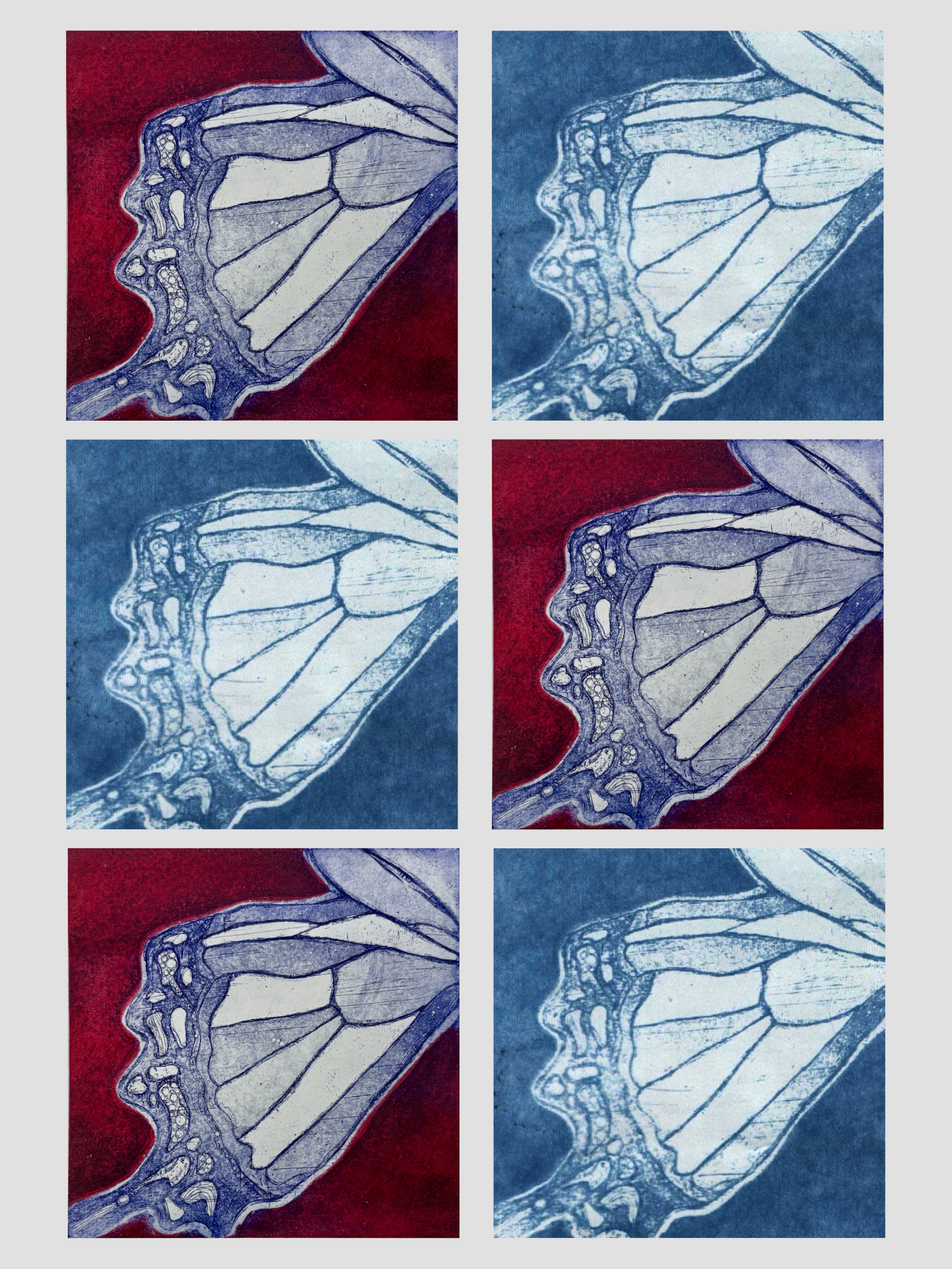 zine-prints.png