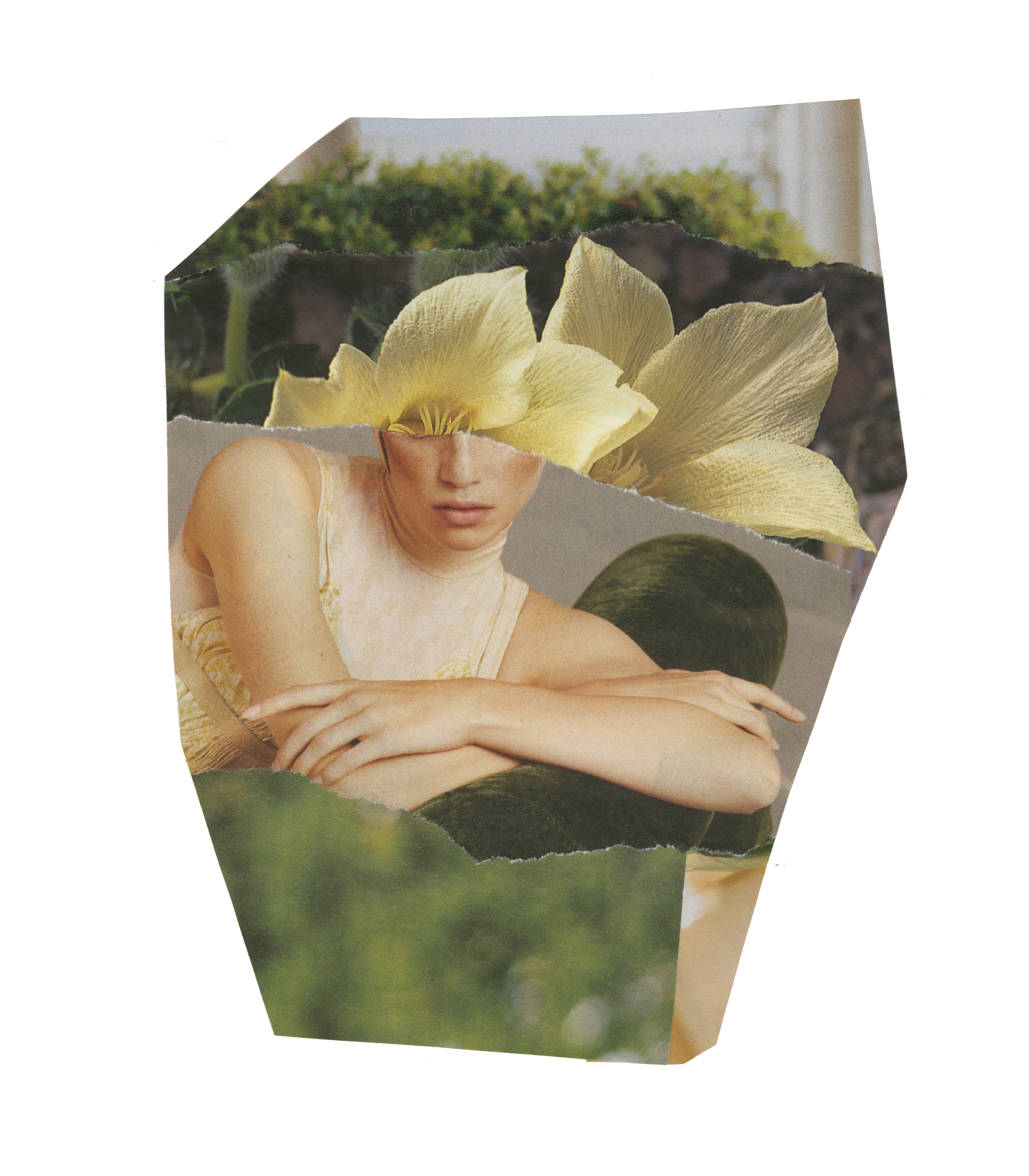 Dogwood Daughter.png