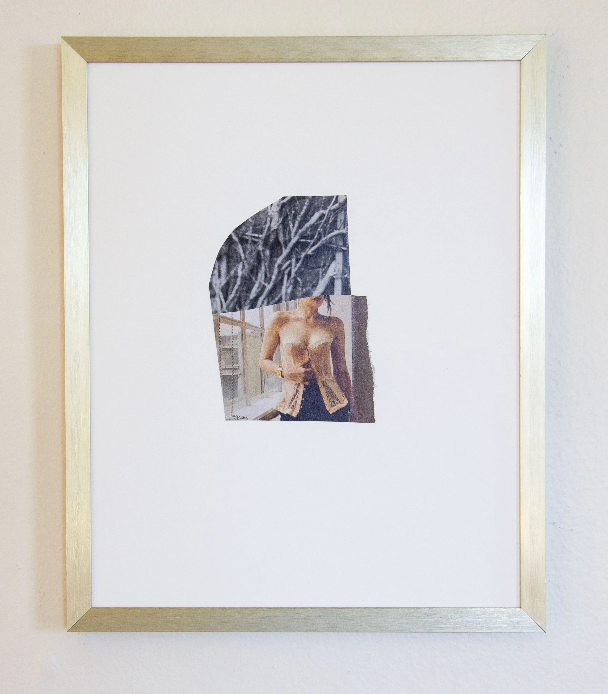 Veins_framed.jpg