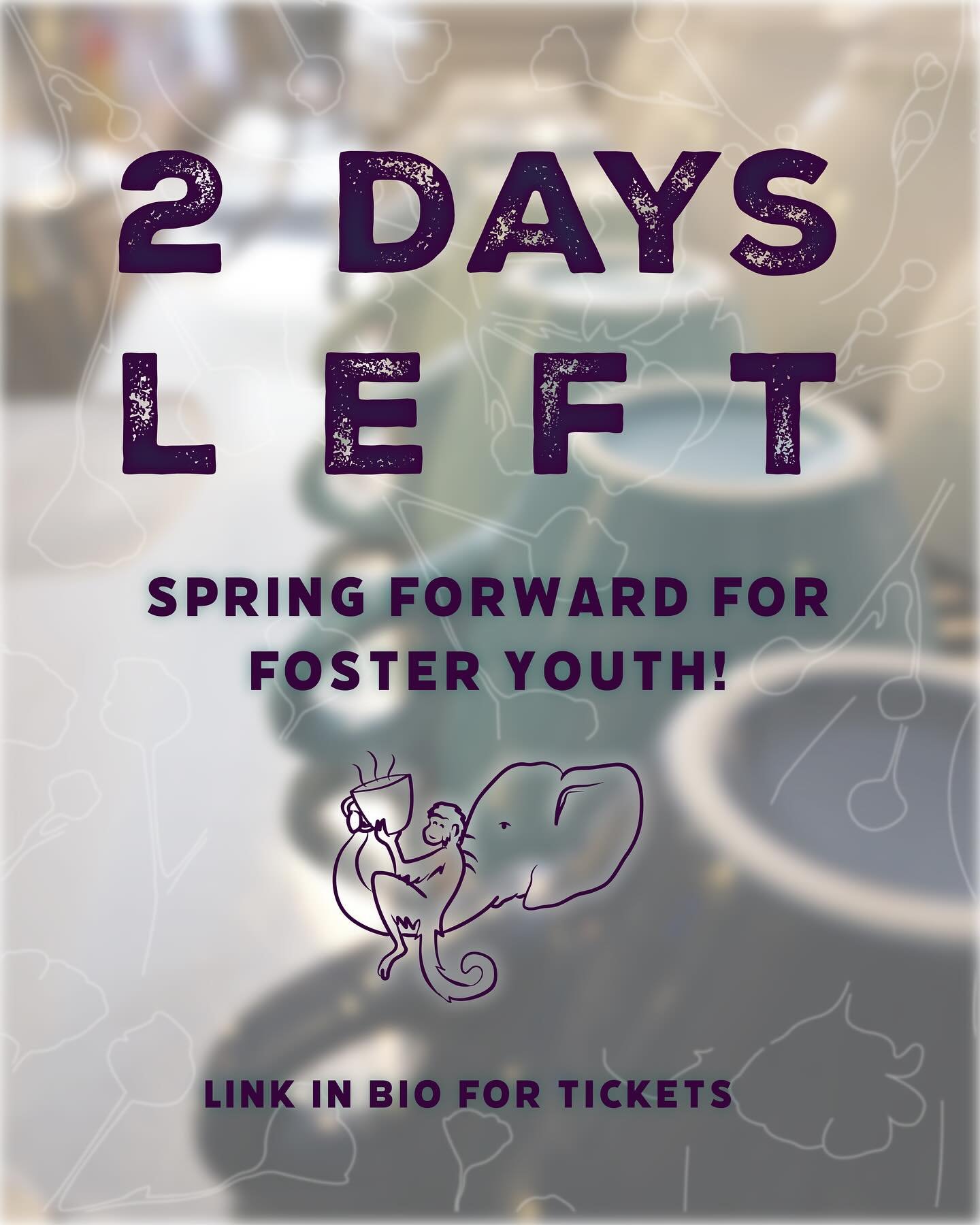 Tomorrow is the day! This Foster Care Awareness Month, there&rsquo;s no better time to support and celebrate The Monkey &amp; The Elephant at our Spring Forward Benefit! 💐 

At The Monkey &amp; The Elephant, Philadelphia&rsquo;s only nonprofit caf&e
