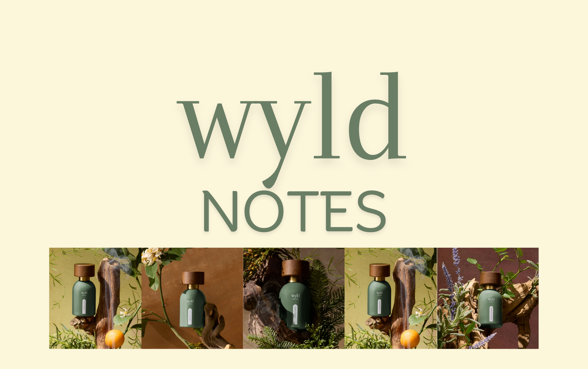 Wyld Notes Sharing