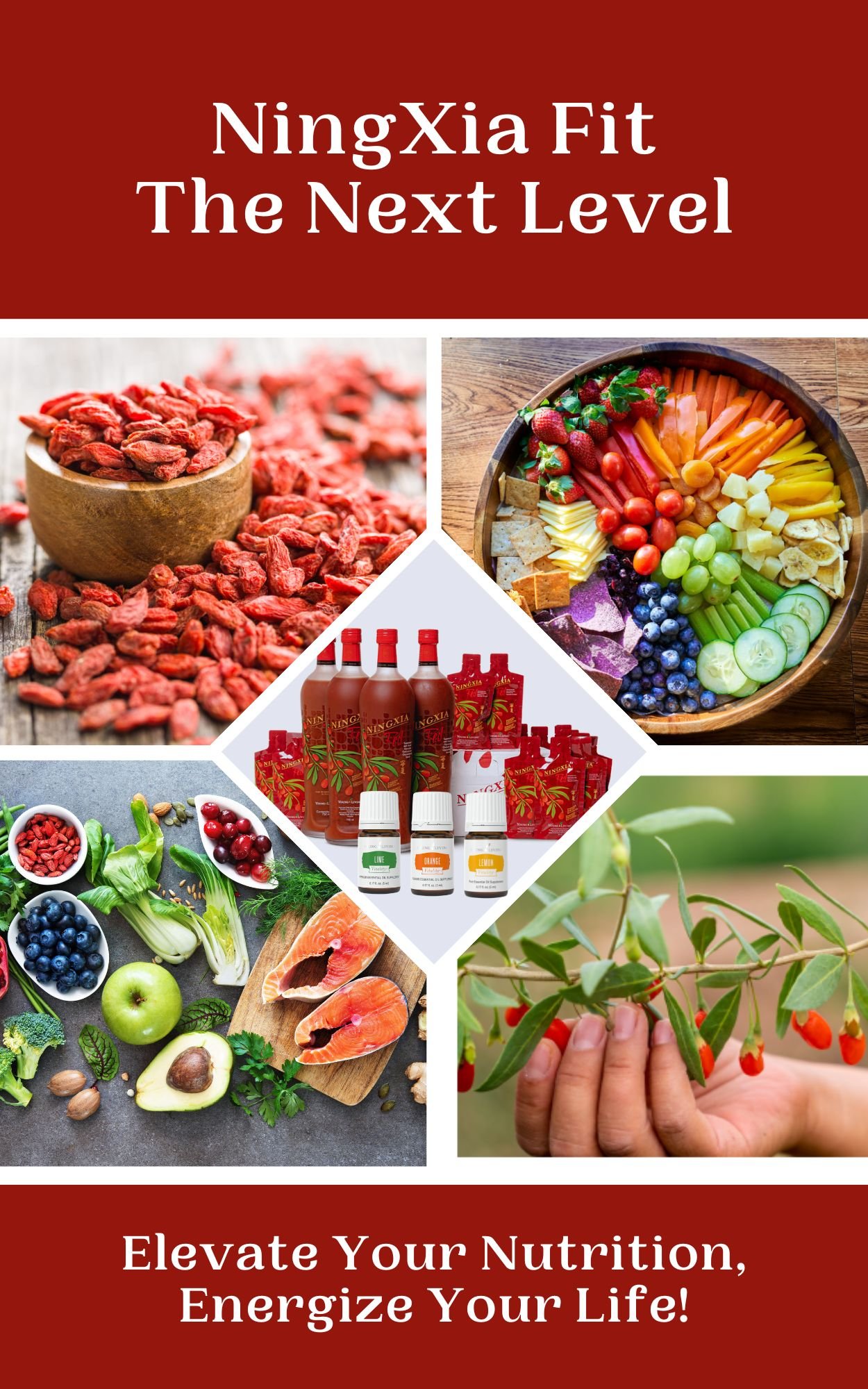 NingXia Fit - The Next Level.jpg