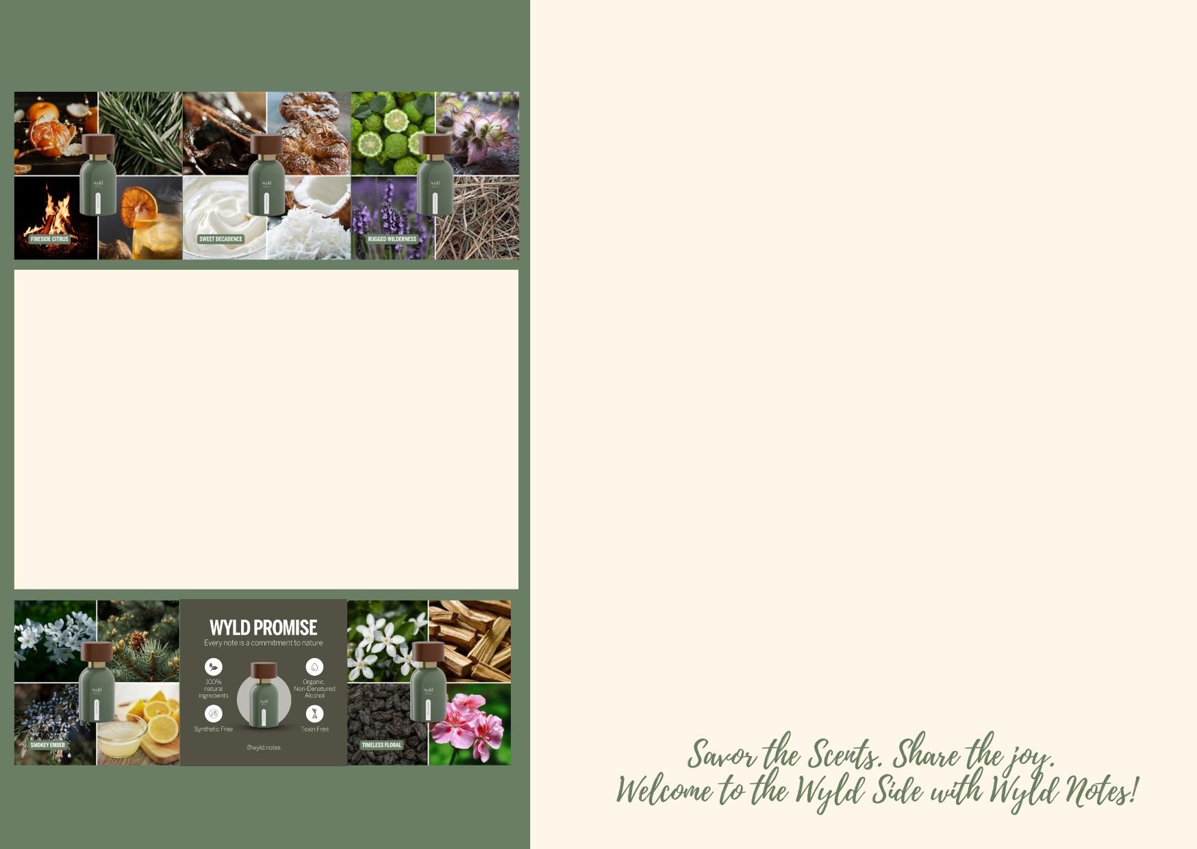 Blank Wyld Notes Post Card.jpg