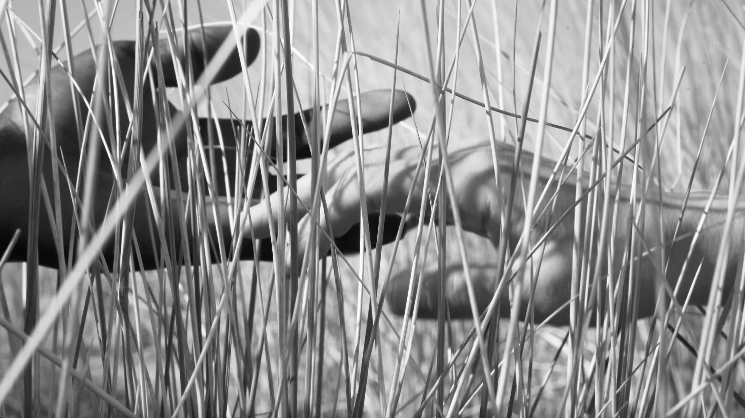 Screenshot 2022-04-27 at 14.30.47.jpg