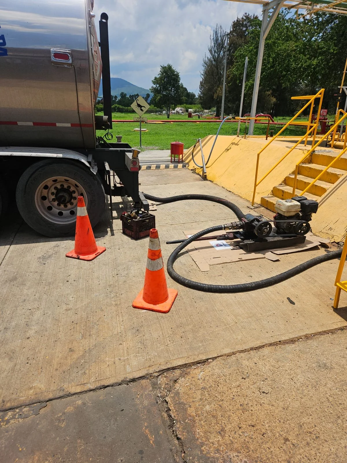 WhatsApp Image 2024-08-01 at 11.14.21 (2).jpeg