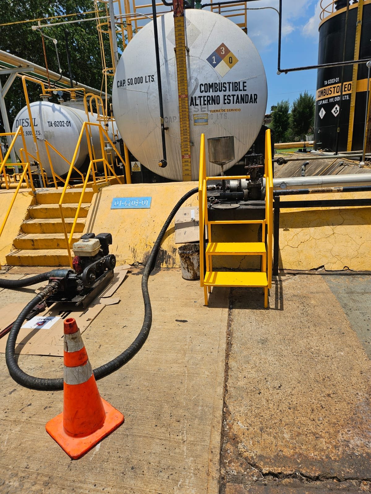 WhatsApp Image 2024-08-01 at 11.14.21.jpeg