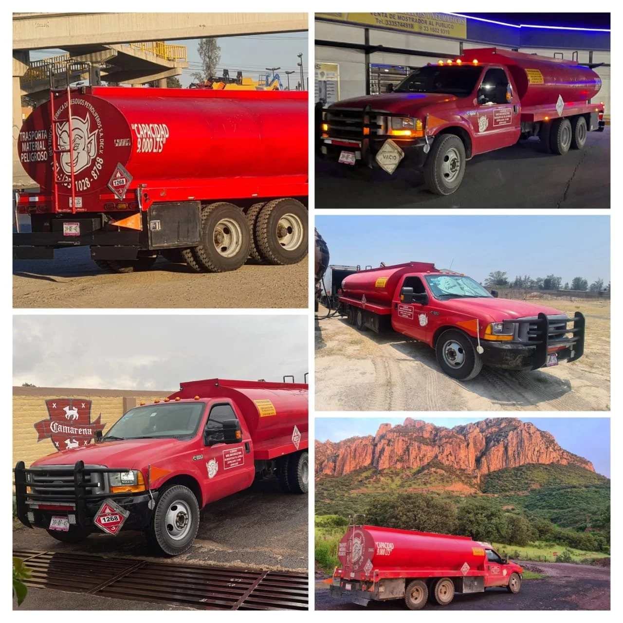 WhatsApp Image 2024-08-01 at 11.14.28 (3).jpeg