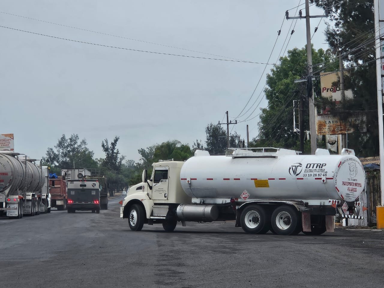 WhatsApp Image 2024-08-01 at 11.14.24.jpeg