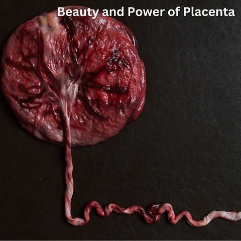 The power of the placenta is profound and deeply connected to postpartum healing. As a naturopathic doula, I honor this life-giving organ for its incredible benefits.

The placenta is nutrient-rich, providing iron, vitamins, and minerals essential fo