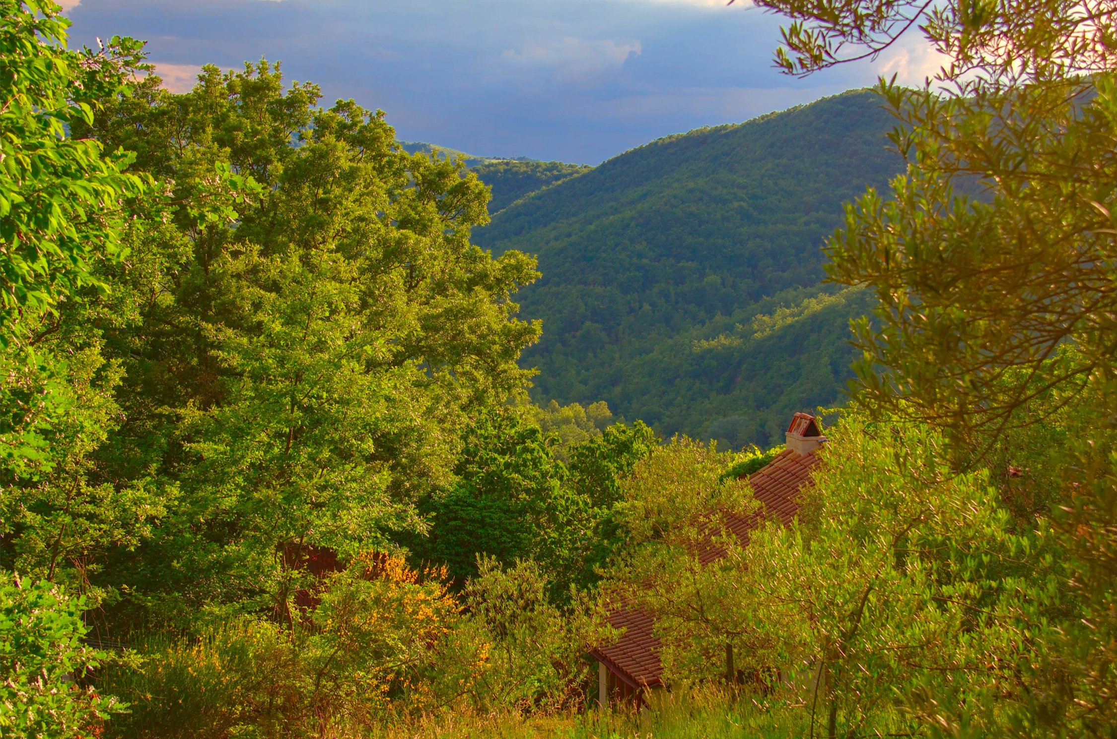 View from the pool to the house and the valley beyond.