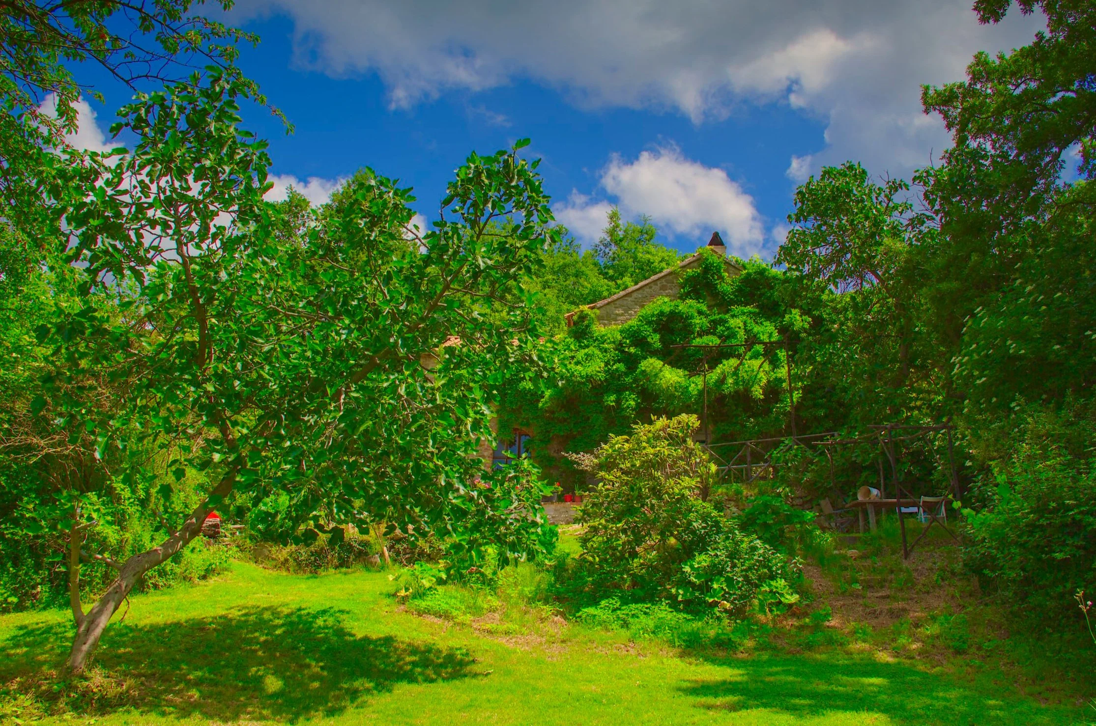 The house as seen from the lower garden.
