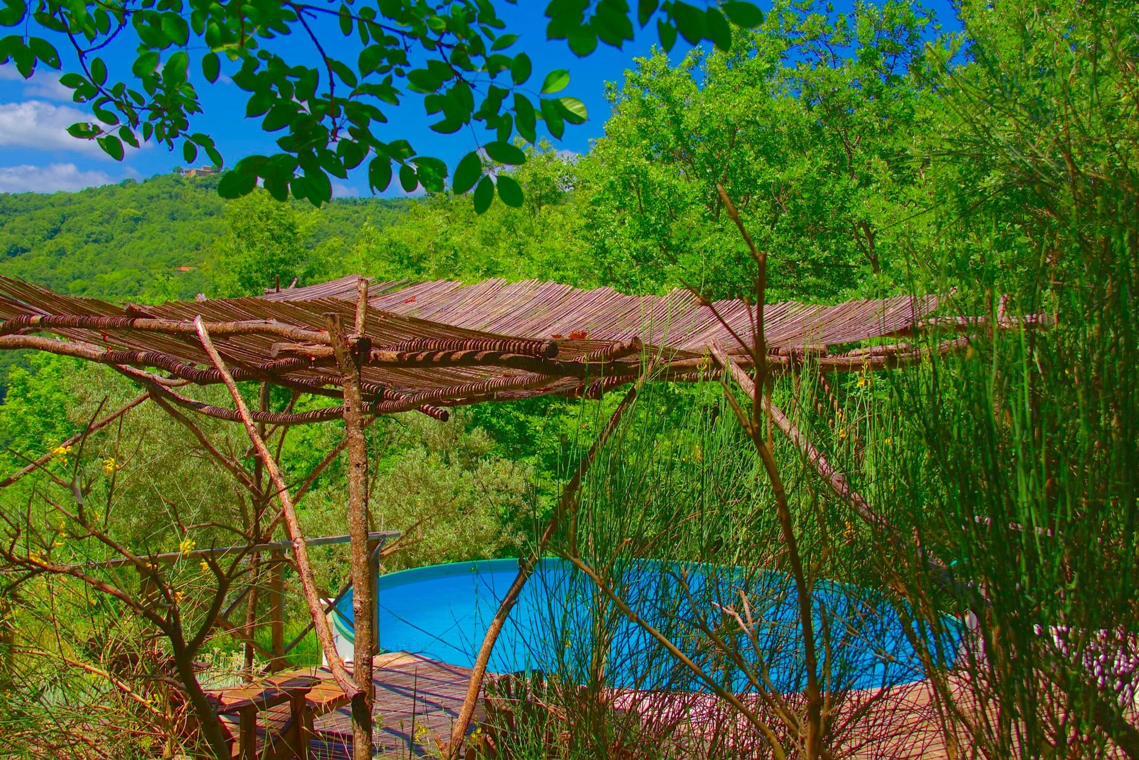 The pool, hidden away in the woods.