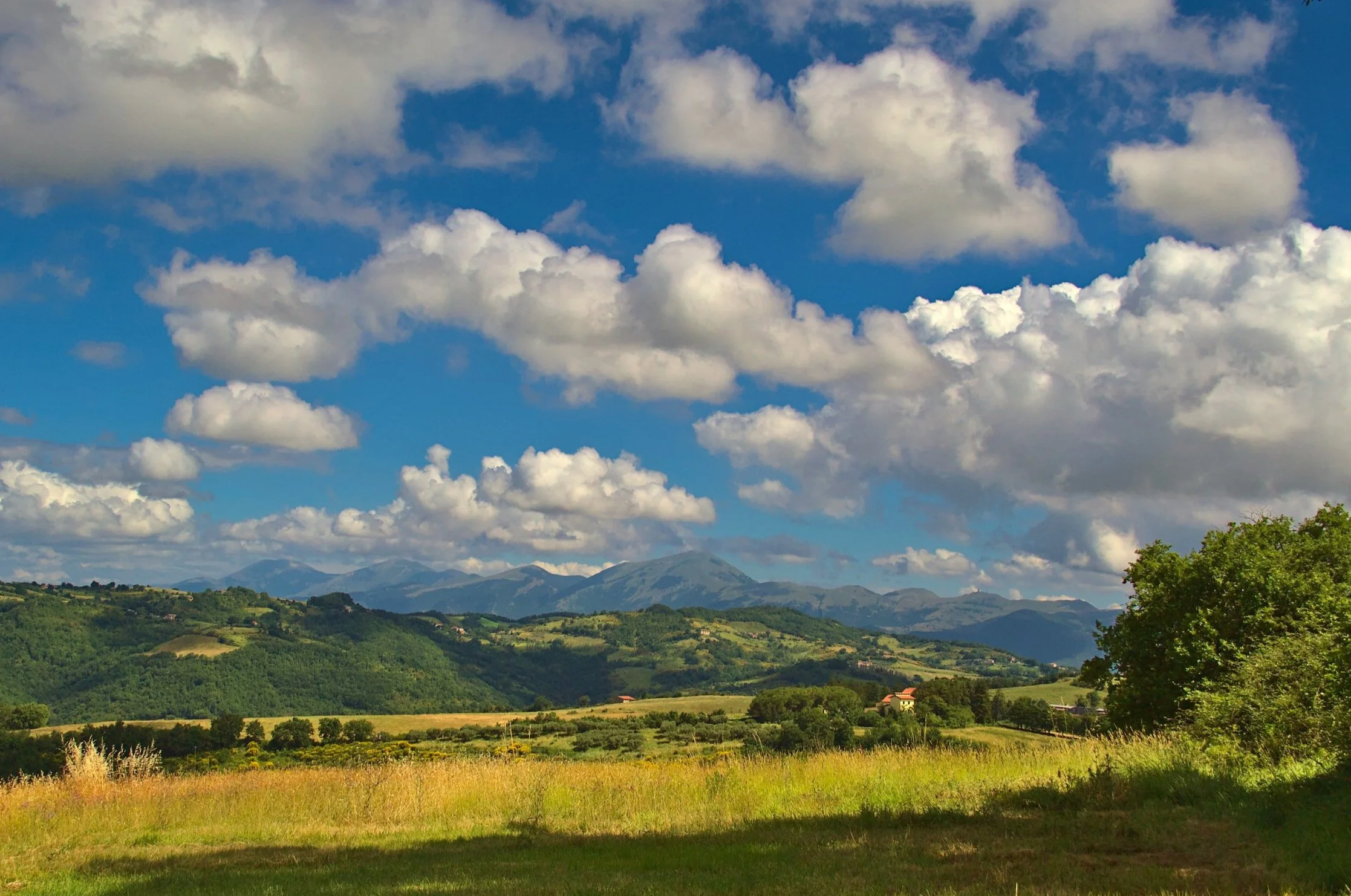 Summer landscape looking towards Monte Cucco