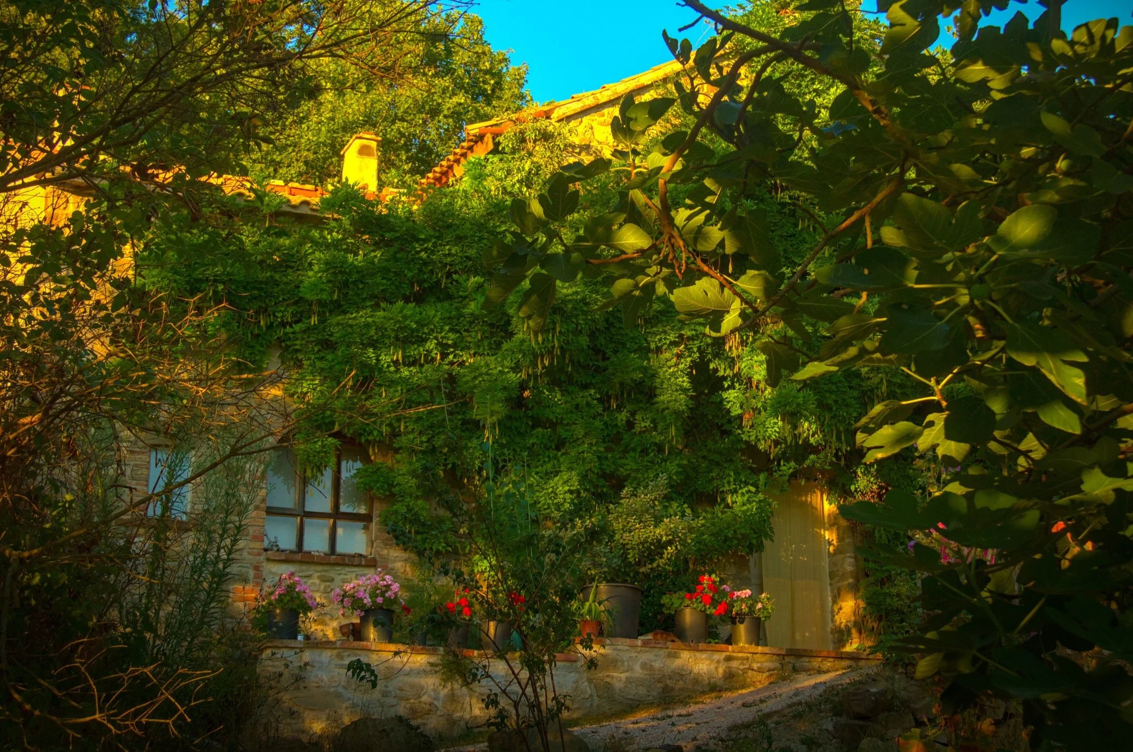 Casa Angiolina on a Summer evening.