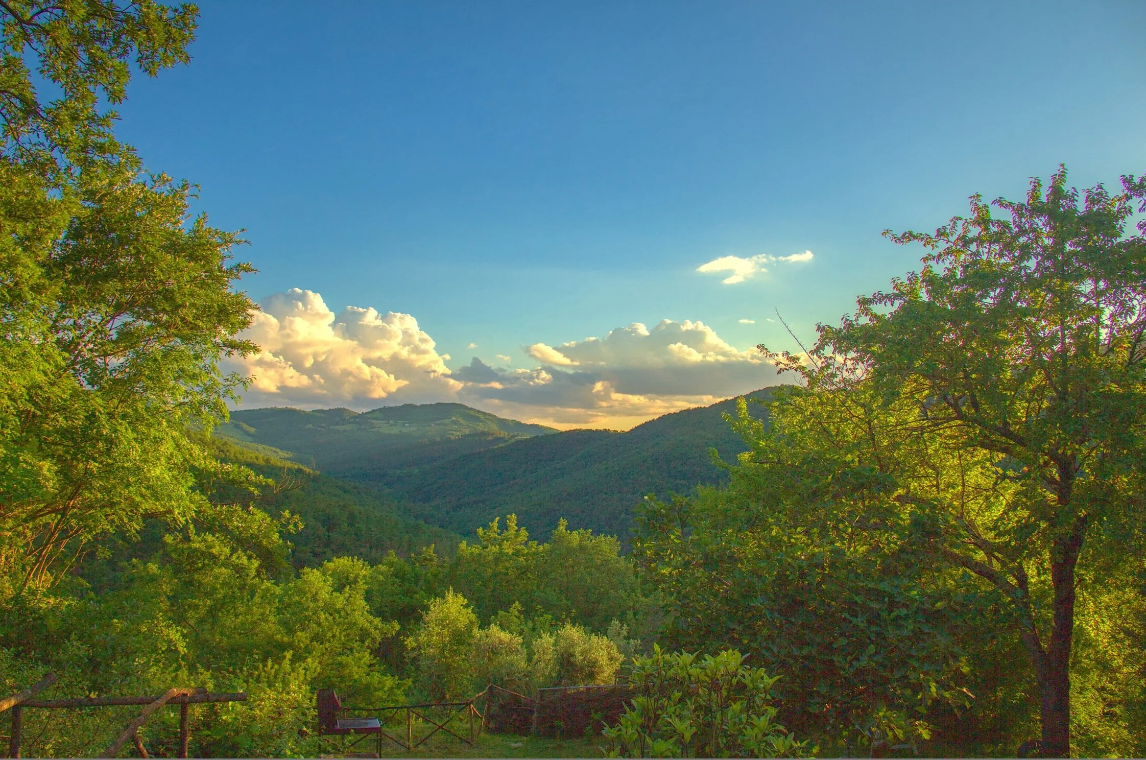 View of our valley from the house on a fine Summer evening