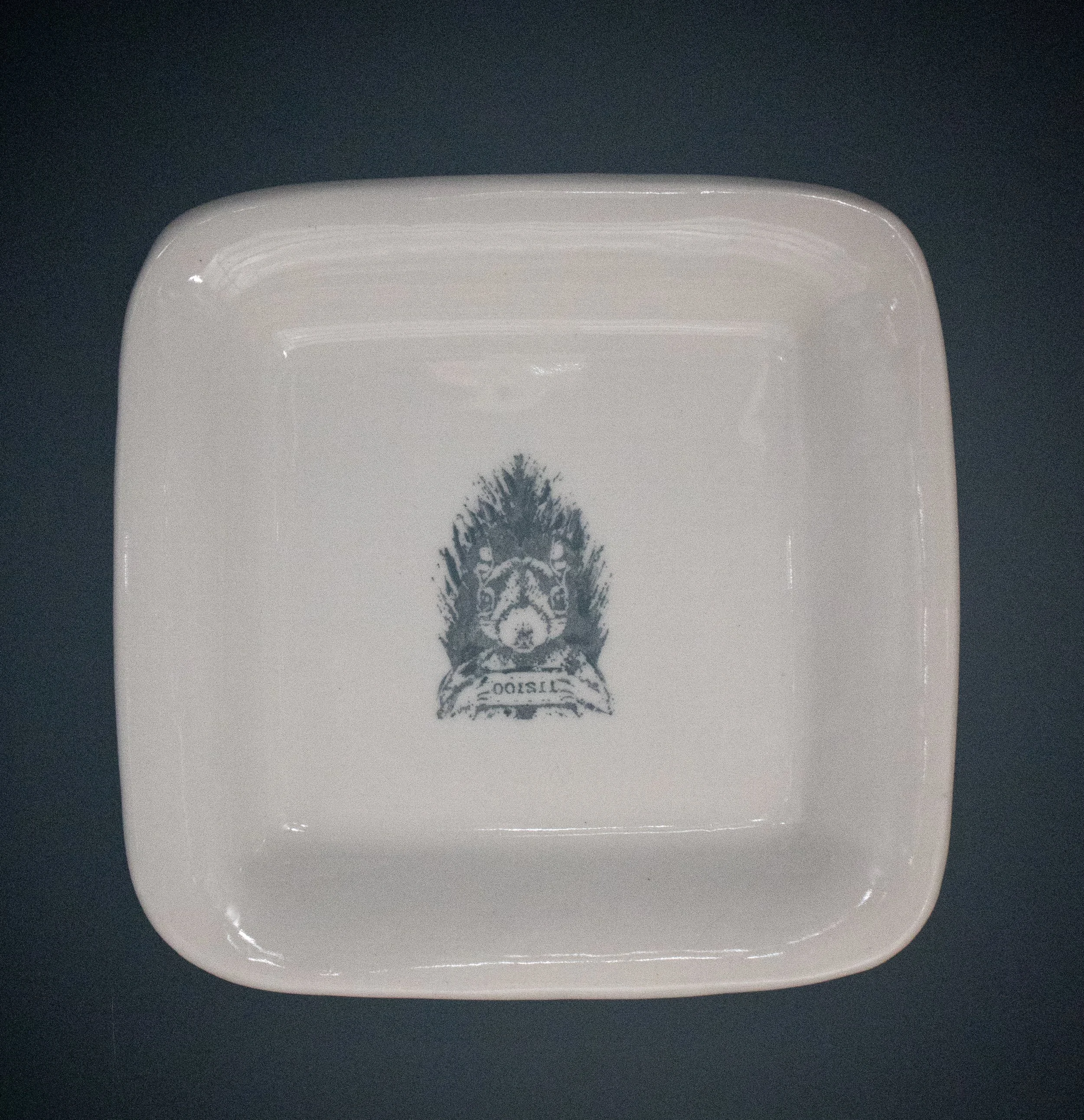 Illegal Animals #1 square plate.jpg