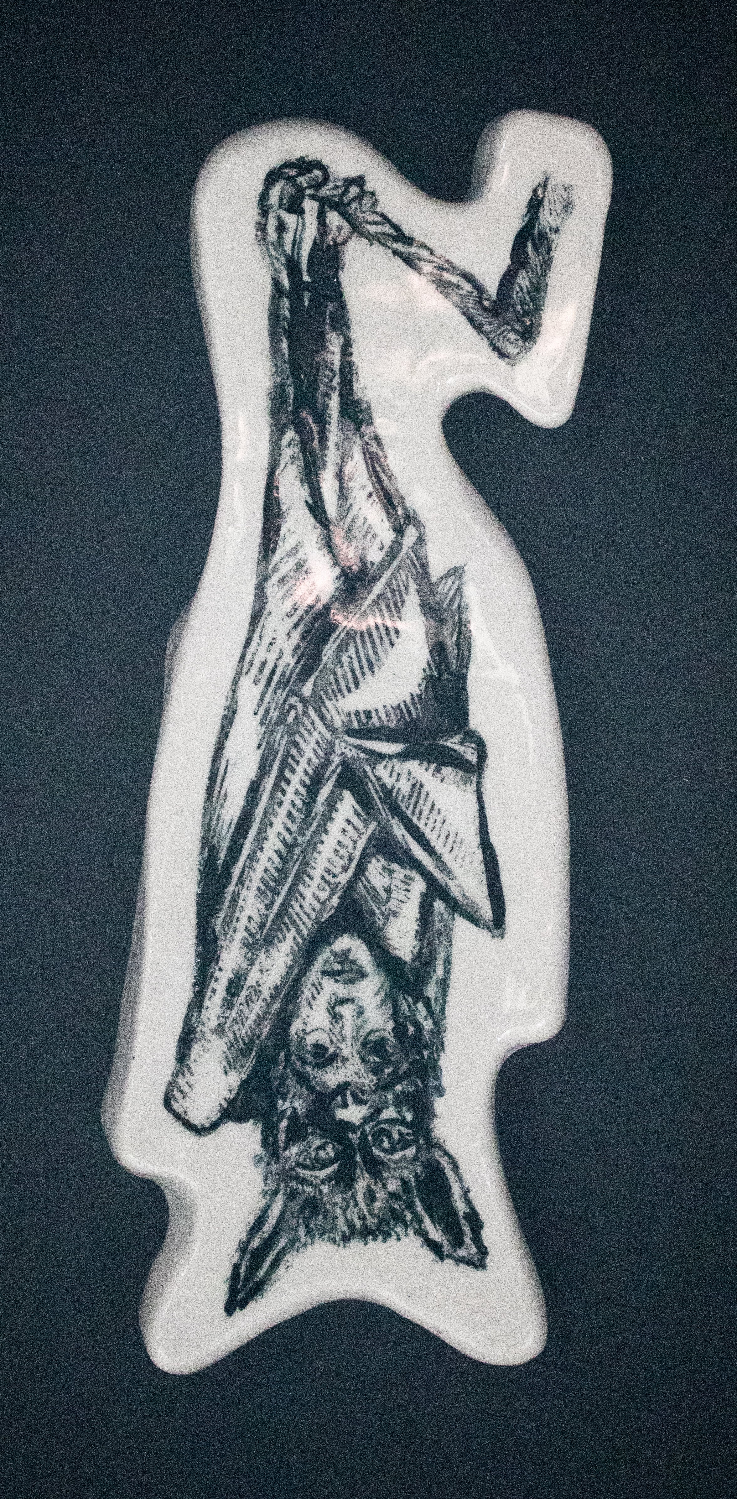 Bat Shit Crazy wall art.jpg
