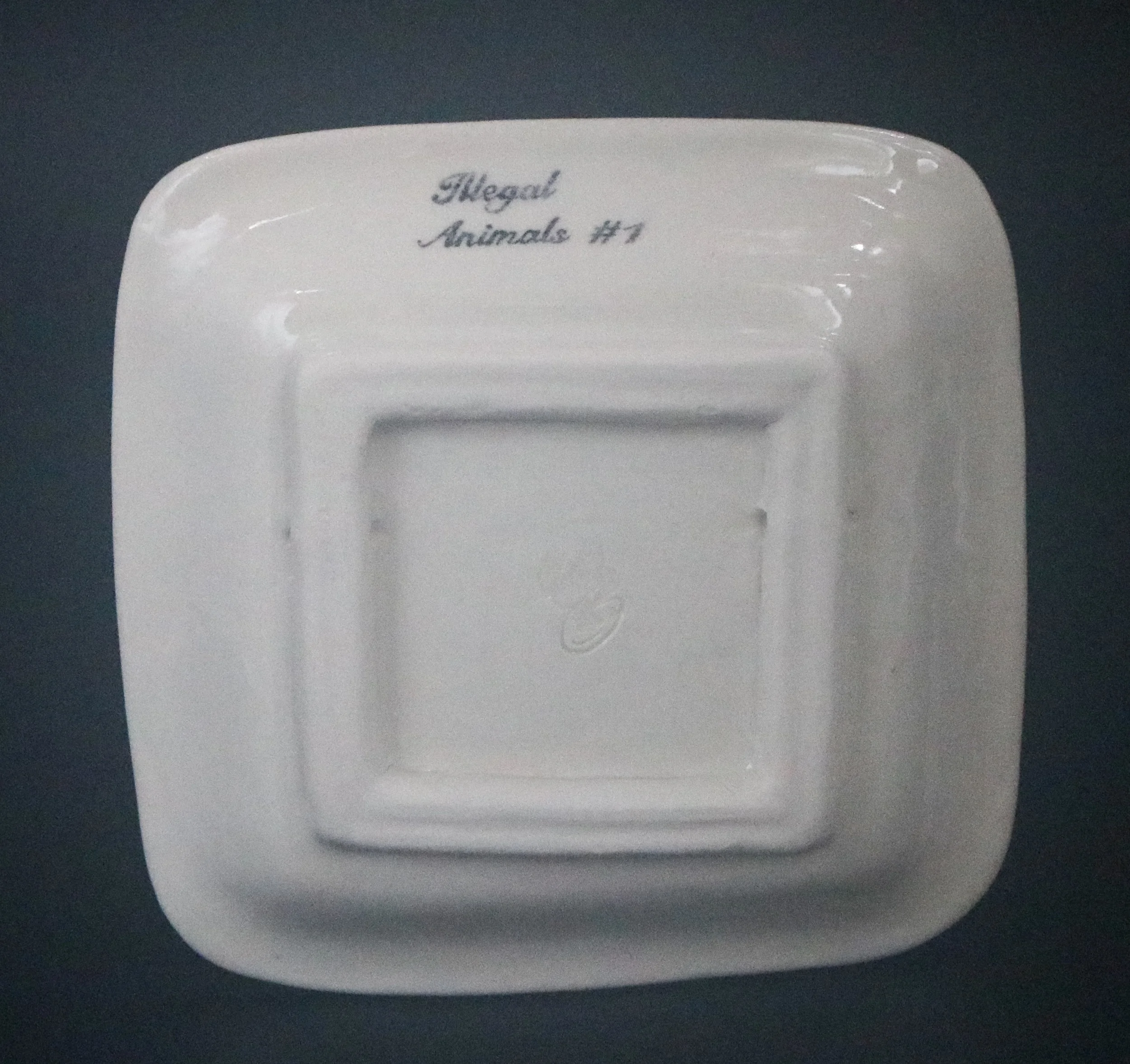 Illegal Animals #1 square plate (2).jpg