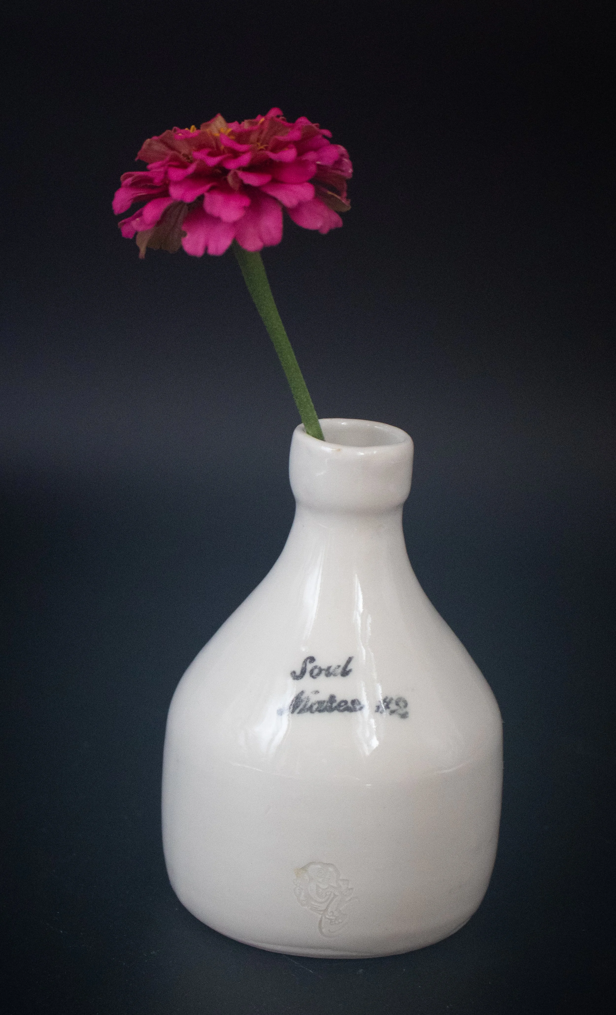 Soul Mates #2Vase (2).jpg