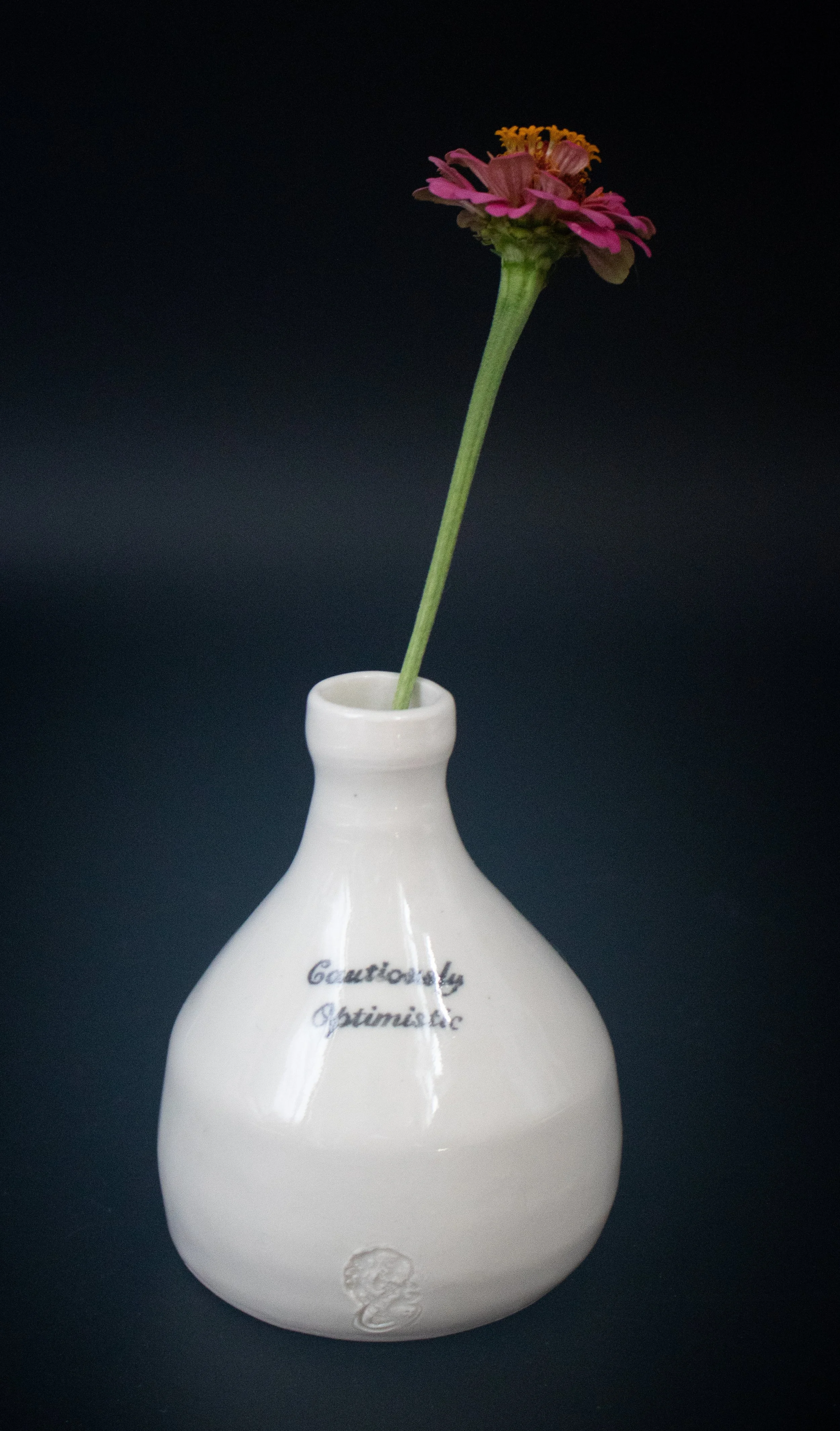 Cautiously Optimistic Vase