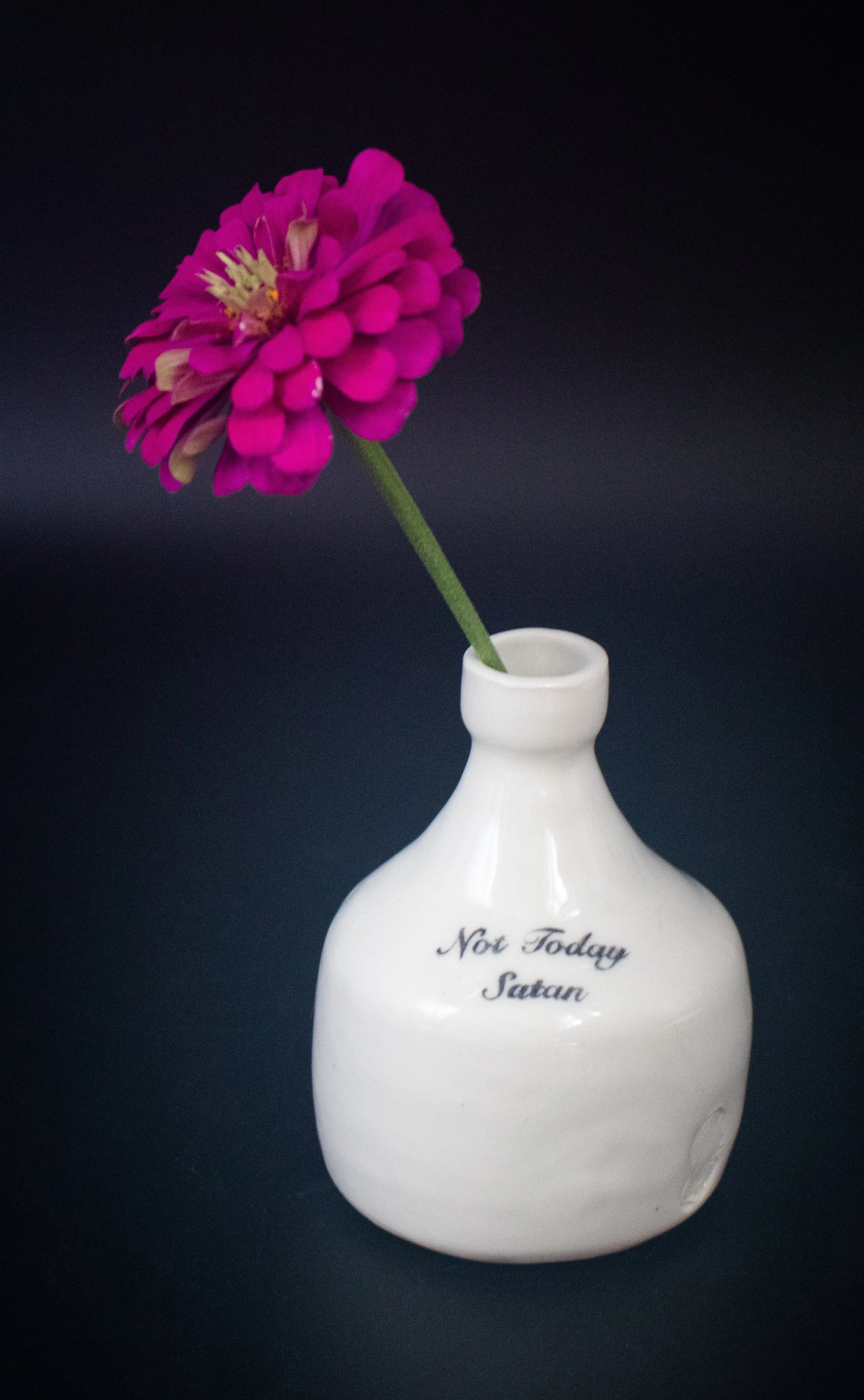 Not Today Satan Vase (2).jpg